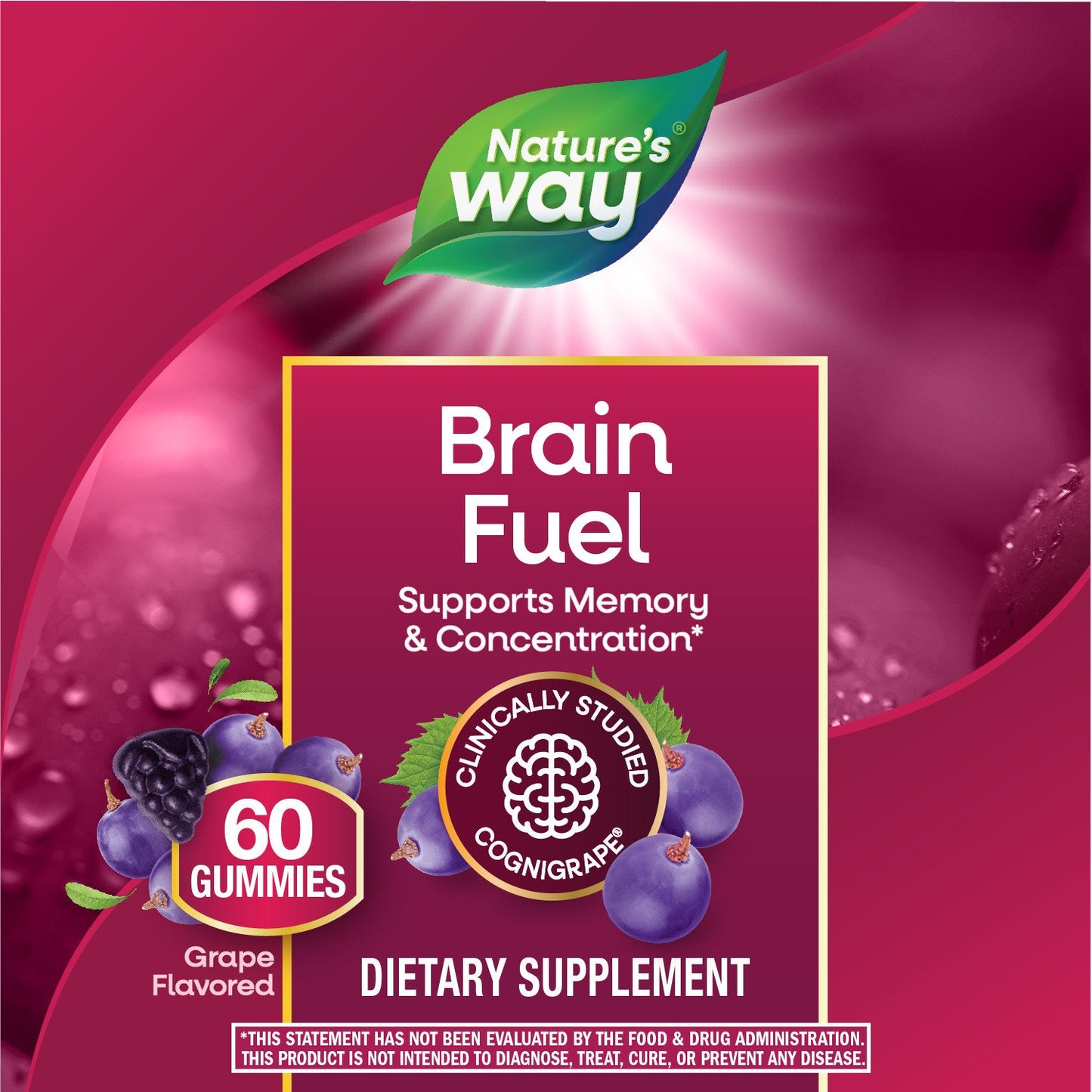 Nature's Way Brain Fuel Gummies - Grape