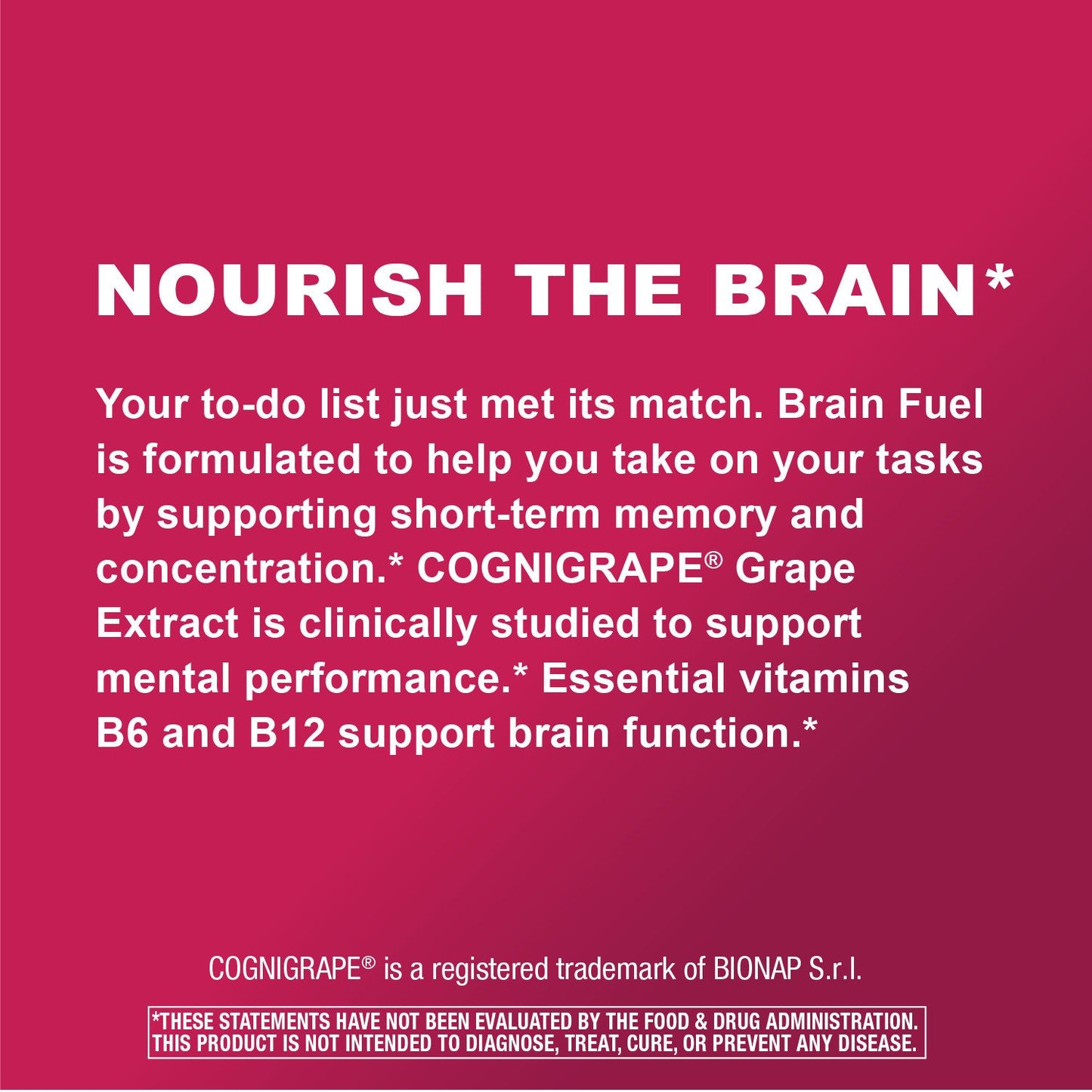Nature's Way Brain Fuel Gummies - Grape