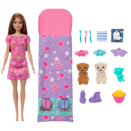 Barbie Puppy Slumber Party Skipper Doll Playset