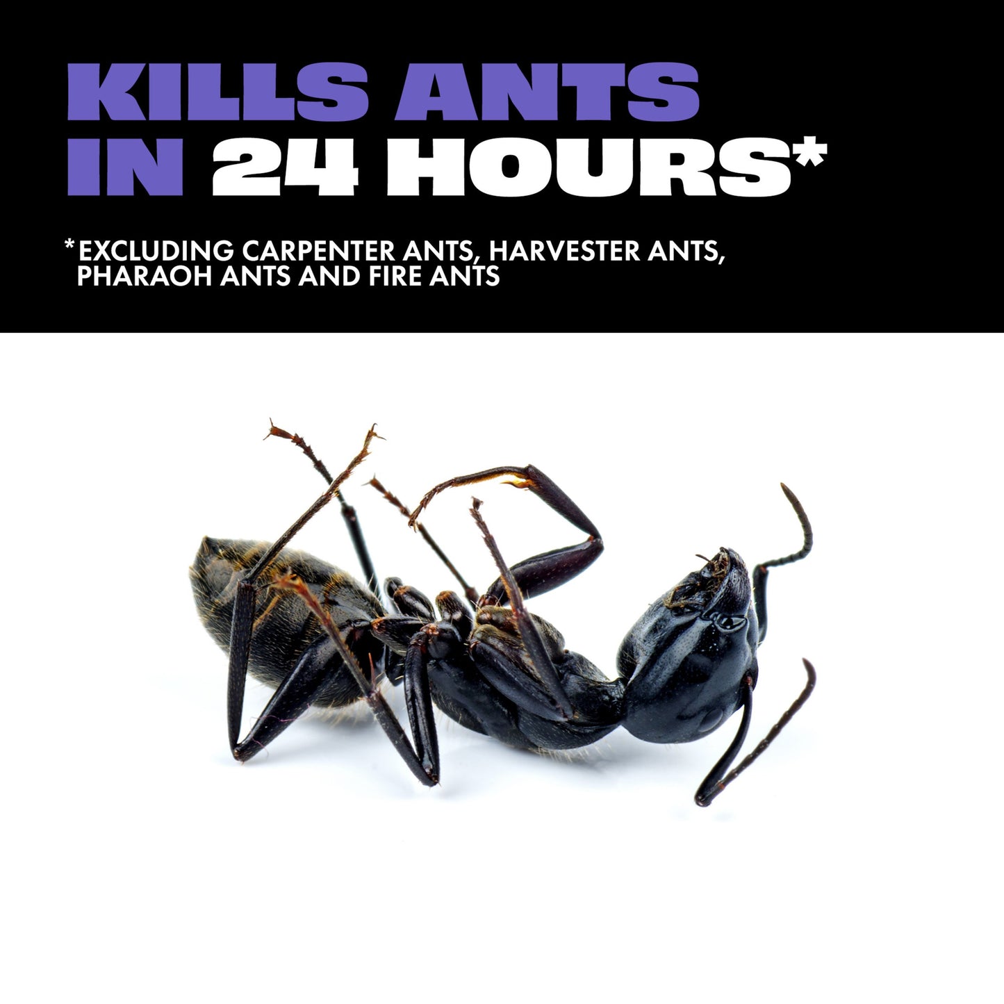 STEM Liquid Ant Bait