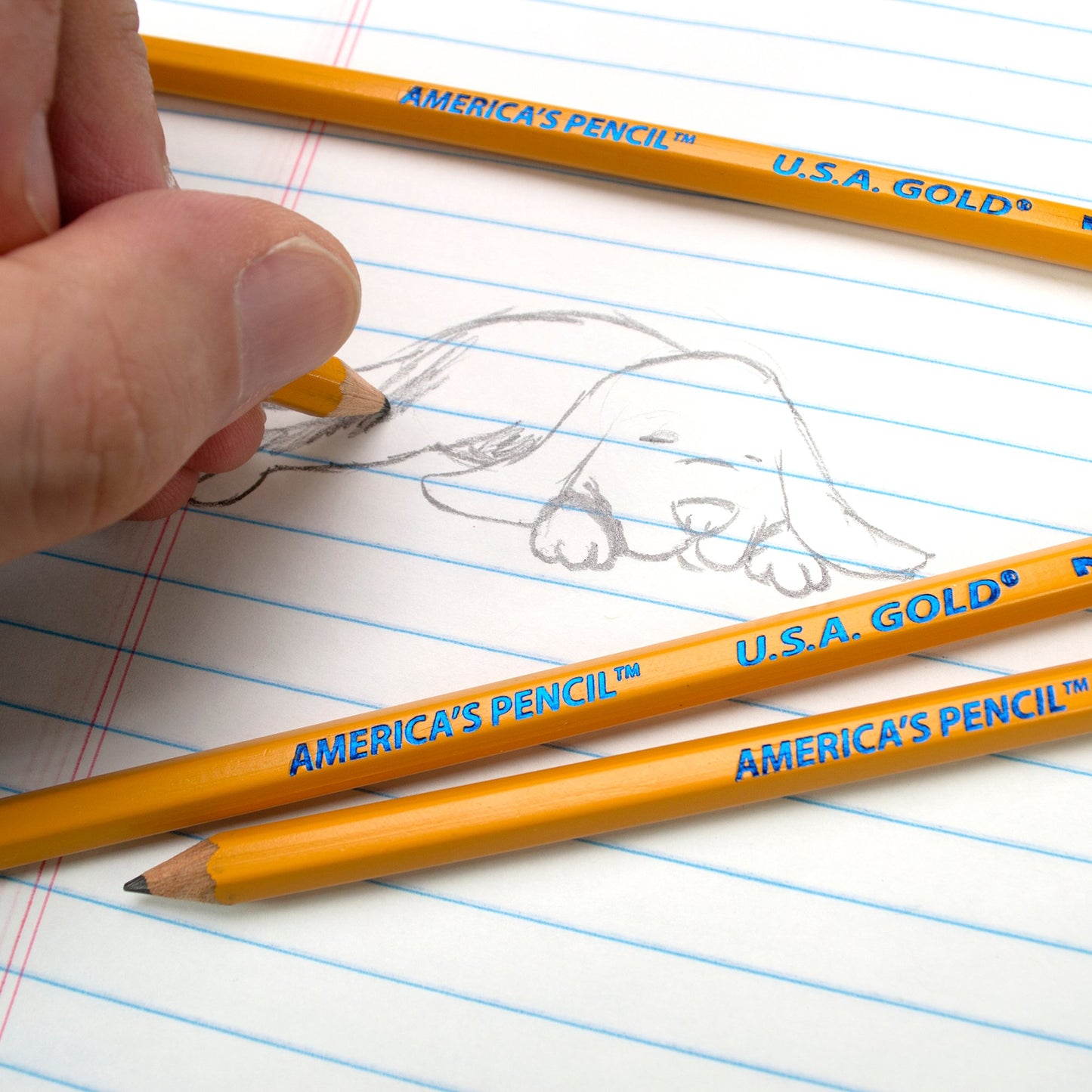 USA Gold Pre-Sharpened No.2 Wooden Pencils