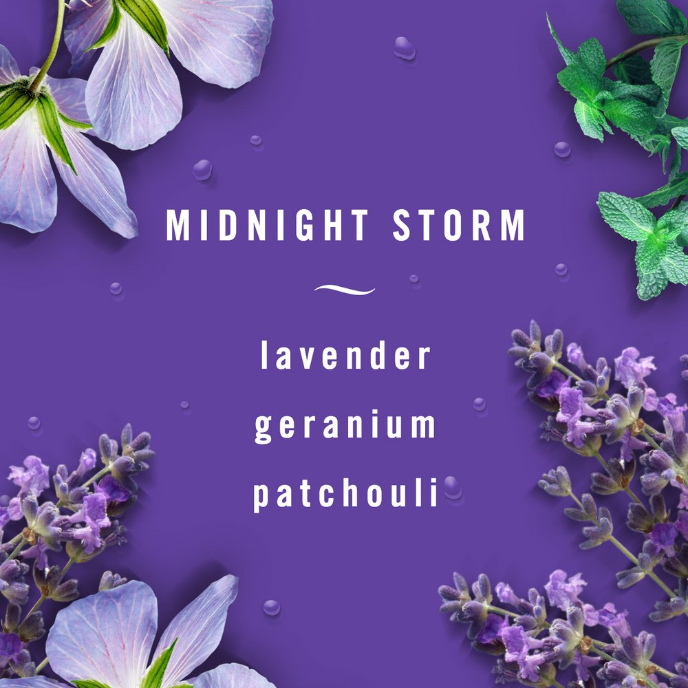 Febreze Auto Fabric Refresher - Midnight Storm