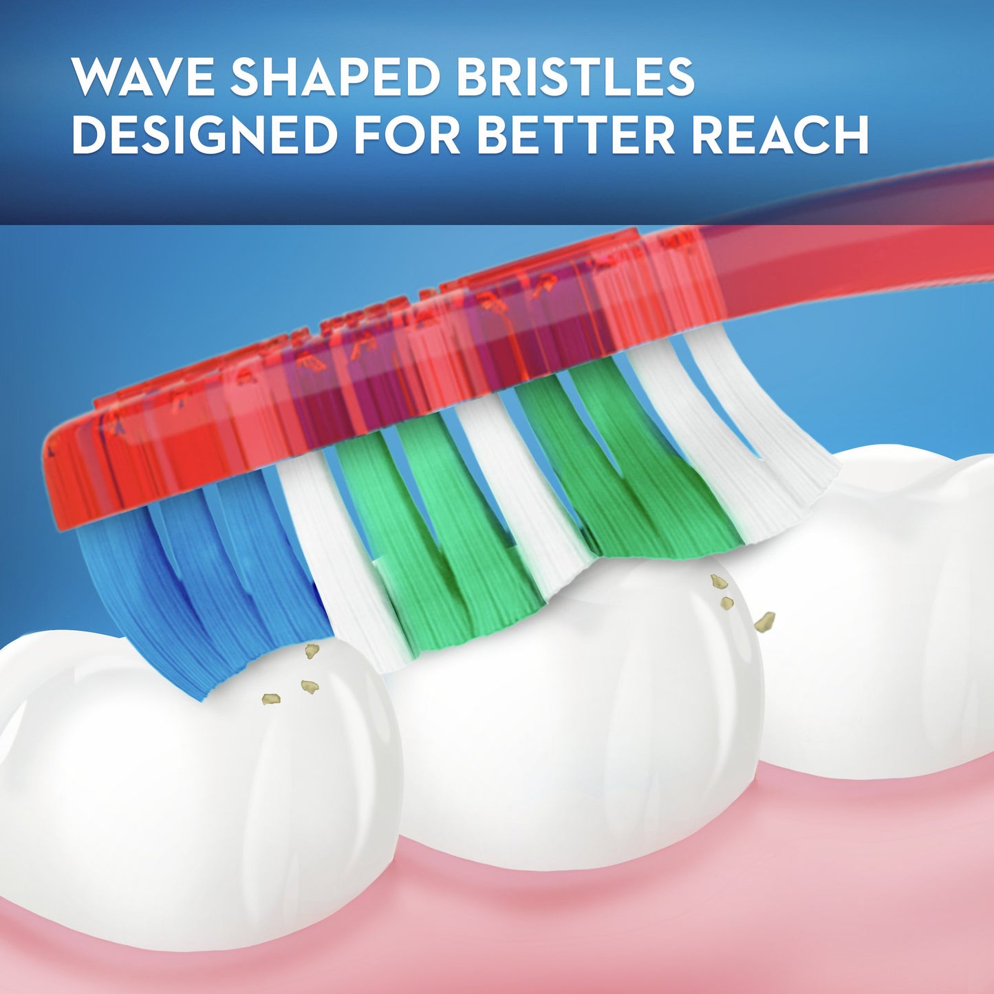 Oral-B Fresh & Clean Toothbrushes - Soft