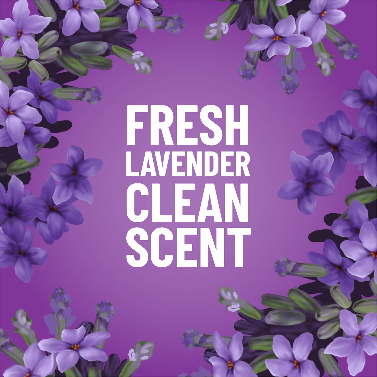 Pine-Sol Multi-Surface Cleaner - Lavender Clean