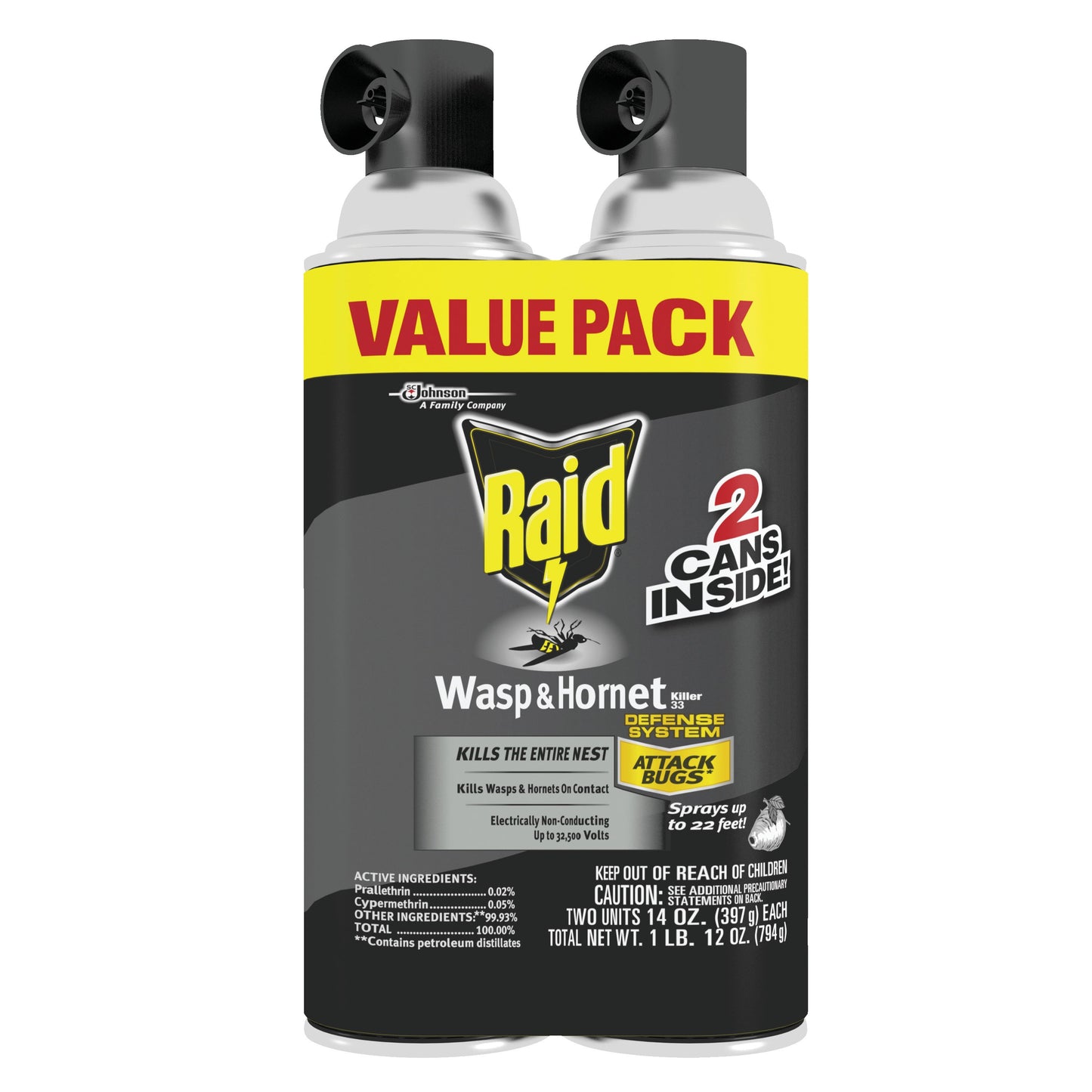 Raid Wasp & Hornet Killer 33, 2 Pk