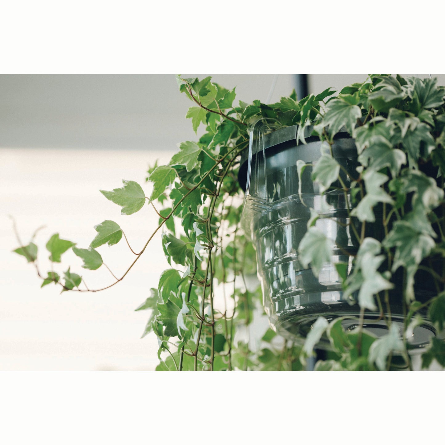 everspring Hanging Basket Drip Pan