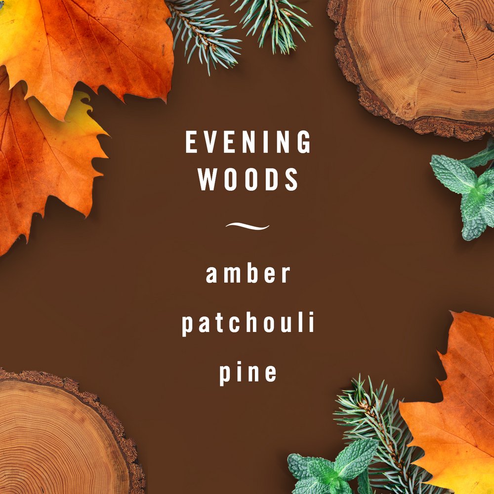 Febreze Auto Vent Clip Air Freshener - Evening Woods