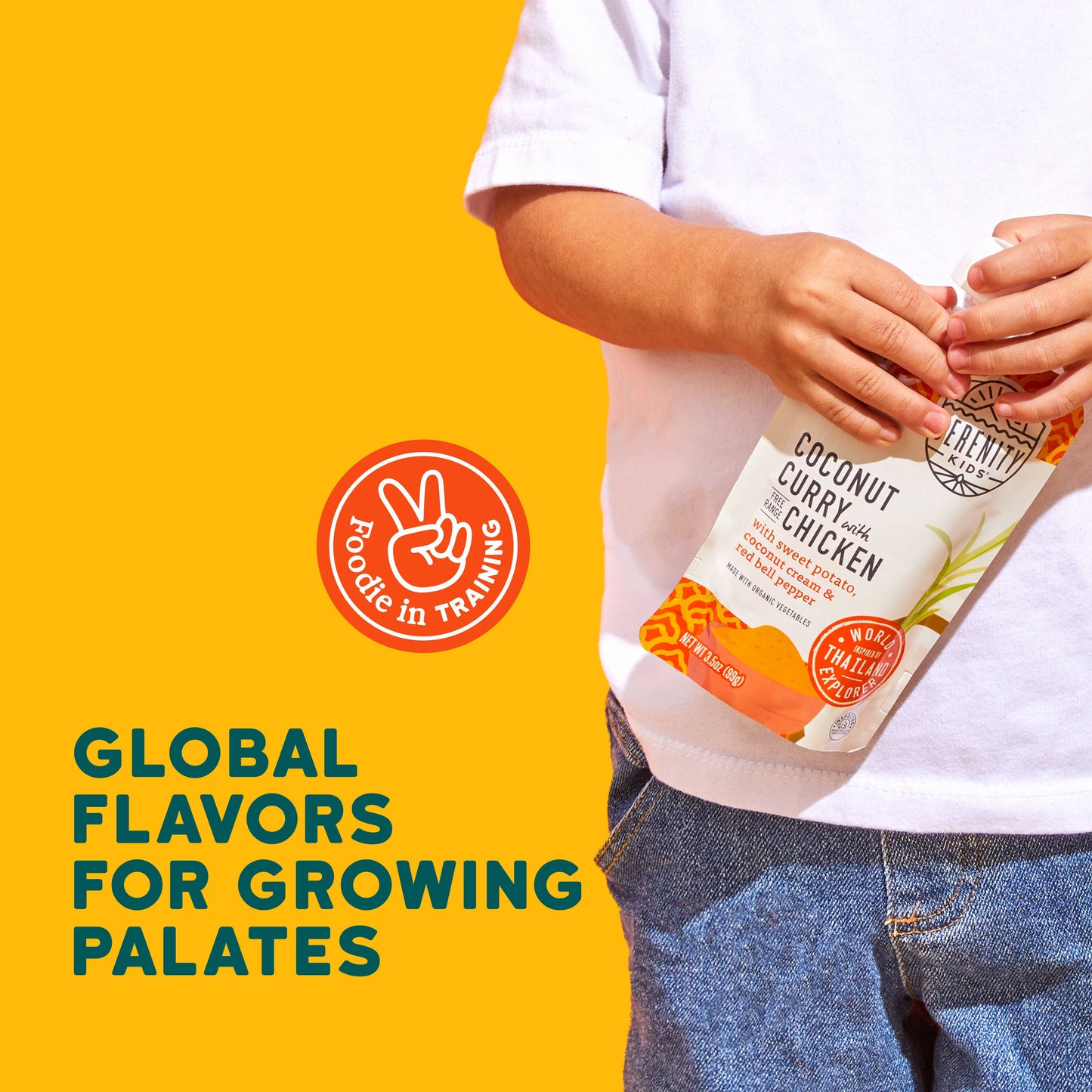 Serenity Kids Baby Food Pouch - Coconut Curry with Free Range Chicken