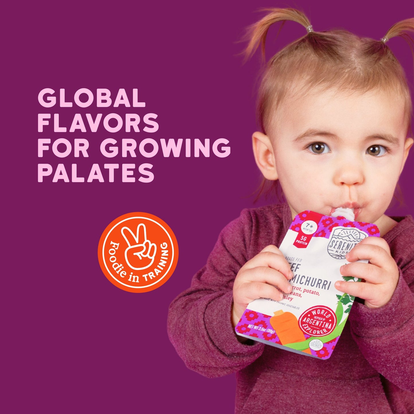 Serenity Kids Baby Food Pouch - Grass Fed Beef Chimichurri