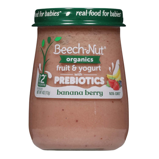 Beech-Nut Organics Stage 2 with Prebiotics Baby Food - Banana Berry