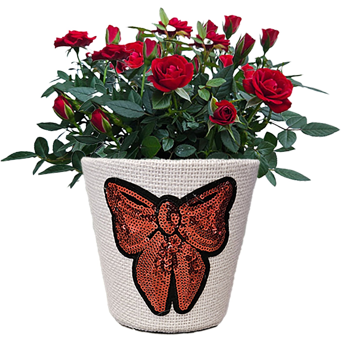 BLOOMS by H-E-B 4" Mini Rose Rhinestone