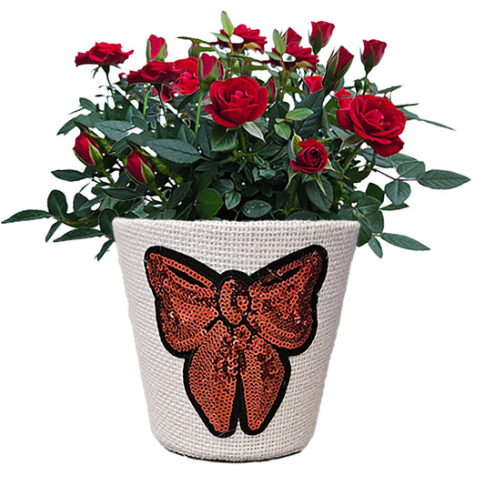 BLOOMS by H-E-B 4" Mini Rose Rhinestone