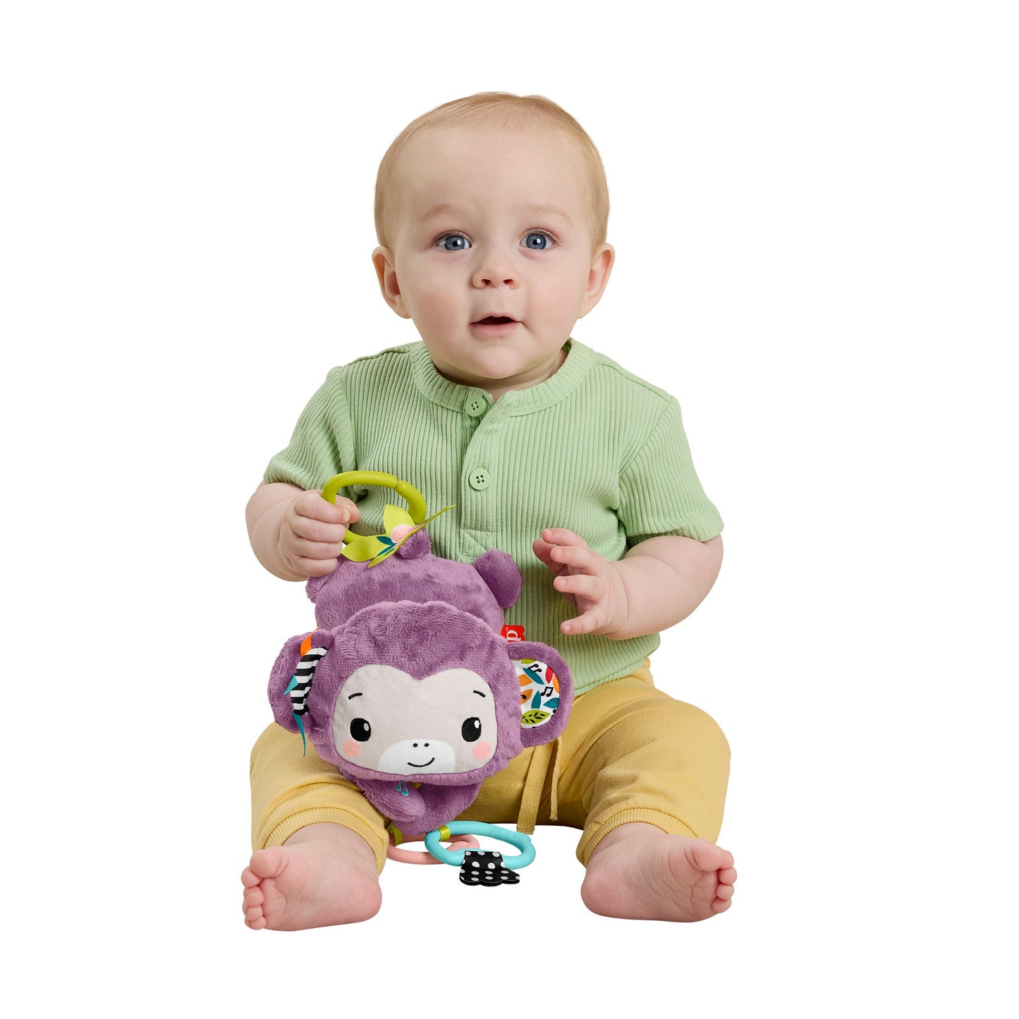Fisher-Price Sing & Go Purple Monkey