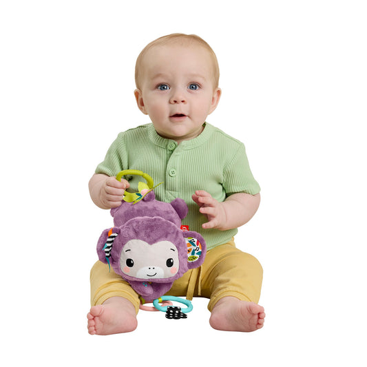 Fisher-Price Sing & Go Purple Monkey