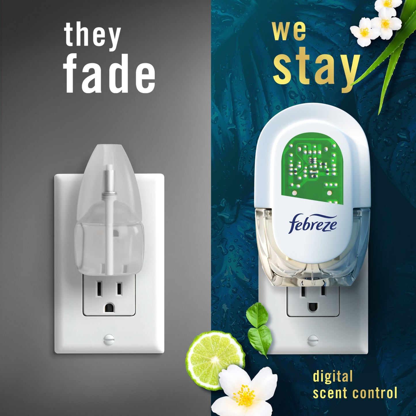 Febreze Luxe Plug In Air Freshener Odor-Fighting Scented Oil Refill - Rainforest