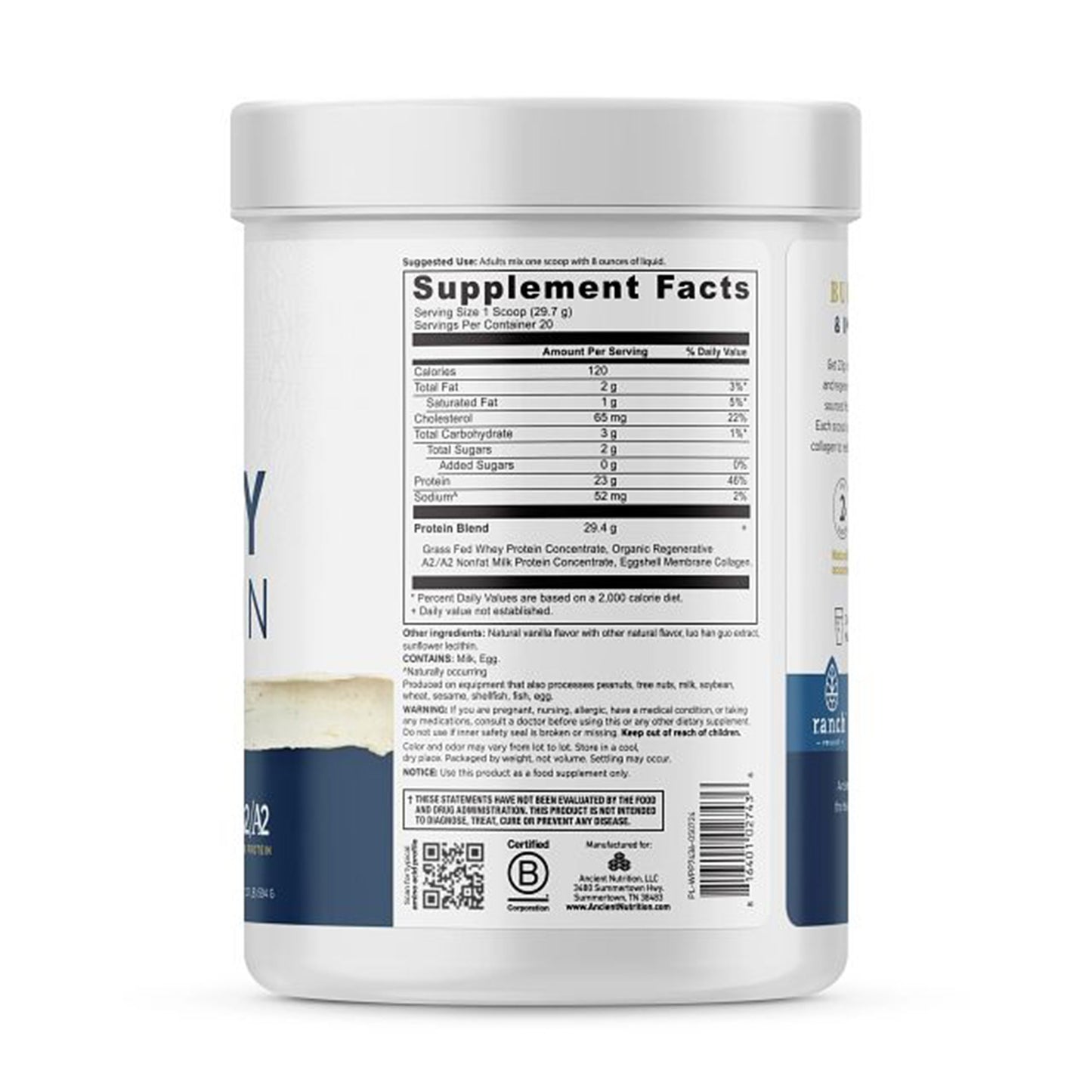 Ancient Nutrition Whey Protein - Vanilla Bean