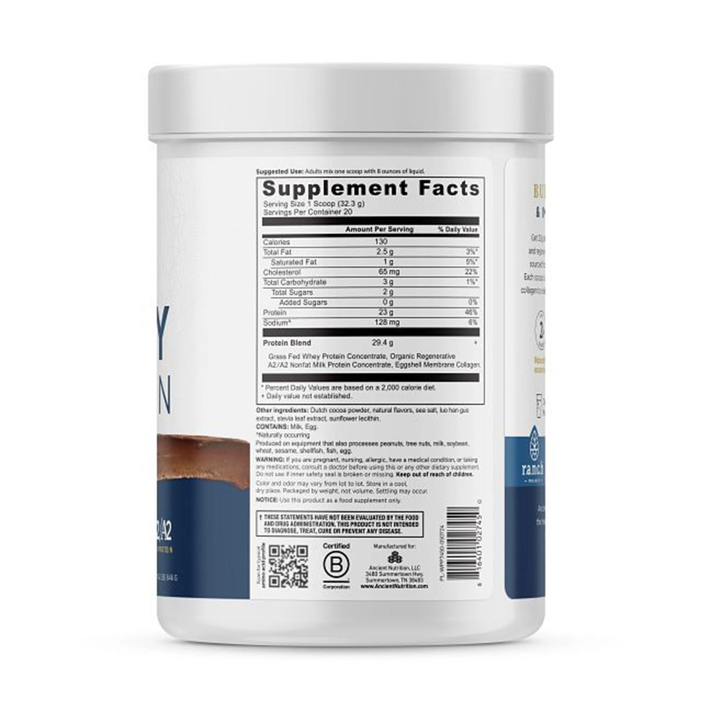Ancient Nutrition Whey Protein - Milk Chocolate