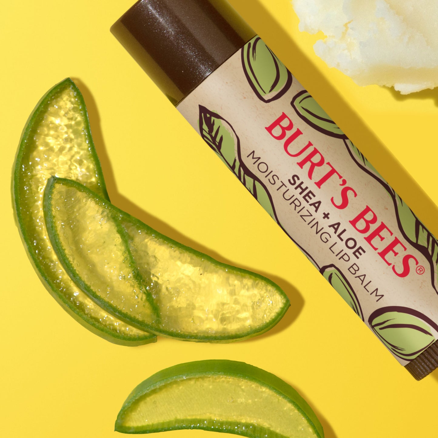 Burt's Bees Moisturizing Lip Balm Pack - Shea & Aloe