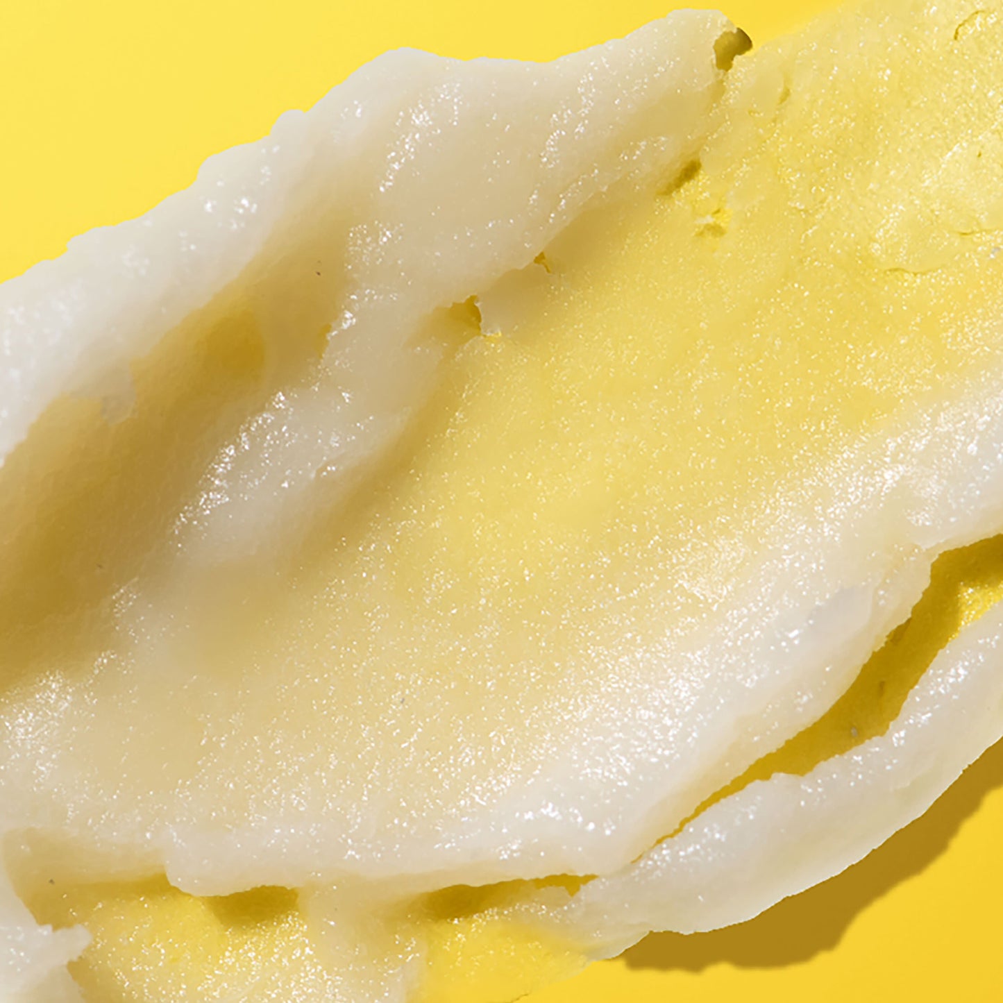 Burt's Bees Moisturizing Lip Balm Pack - Shea & Aloe