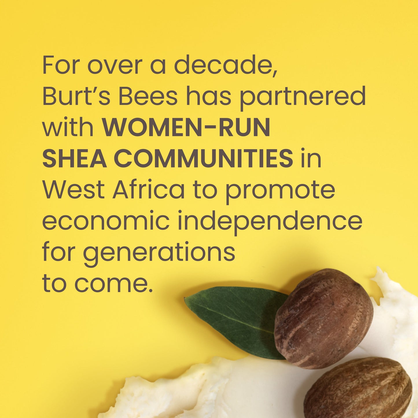 Burt's Bees Moisturizing Lip Balm Pack - Shea & Aloe