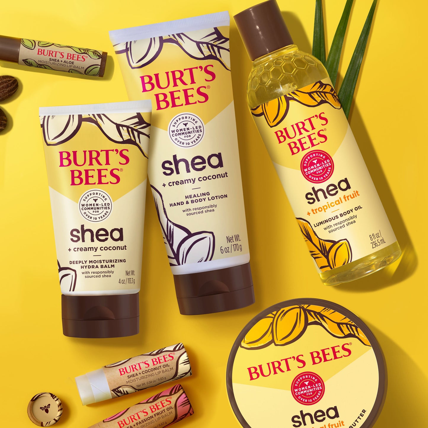 Burt's Bees Moisturizing Lip Balm Pack - Shea & Aloe