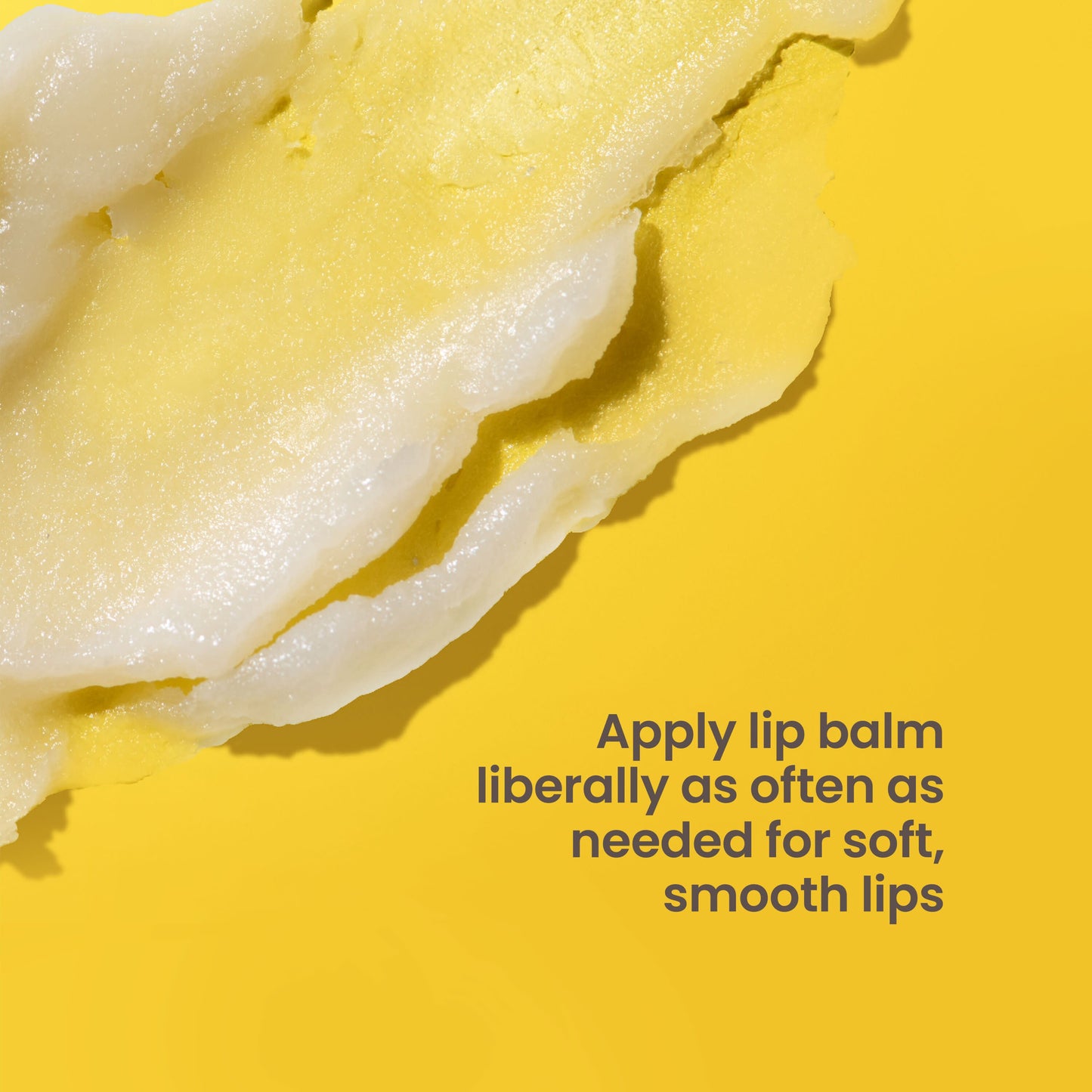 Burt's Bees Moisturizing Lip Balm Pack - Shea & Aloe