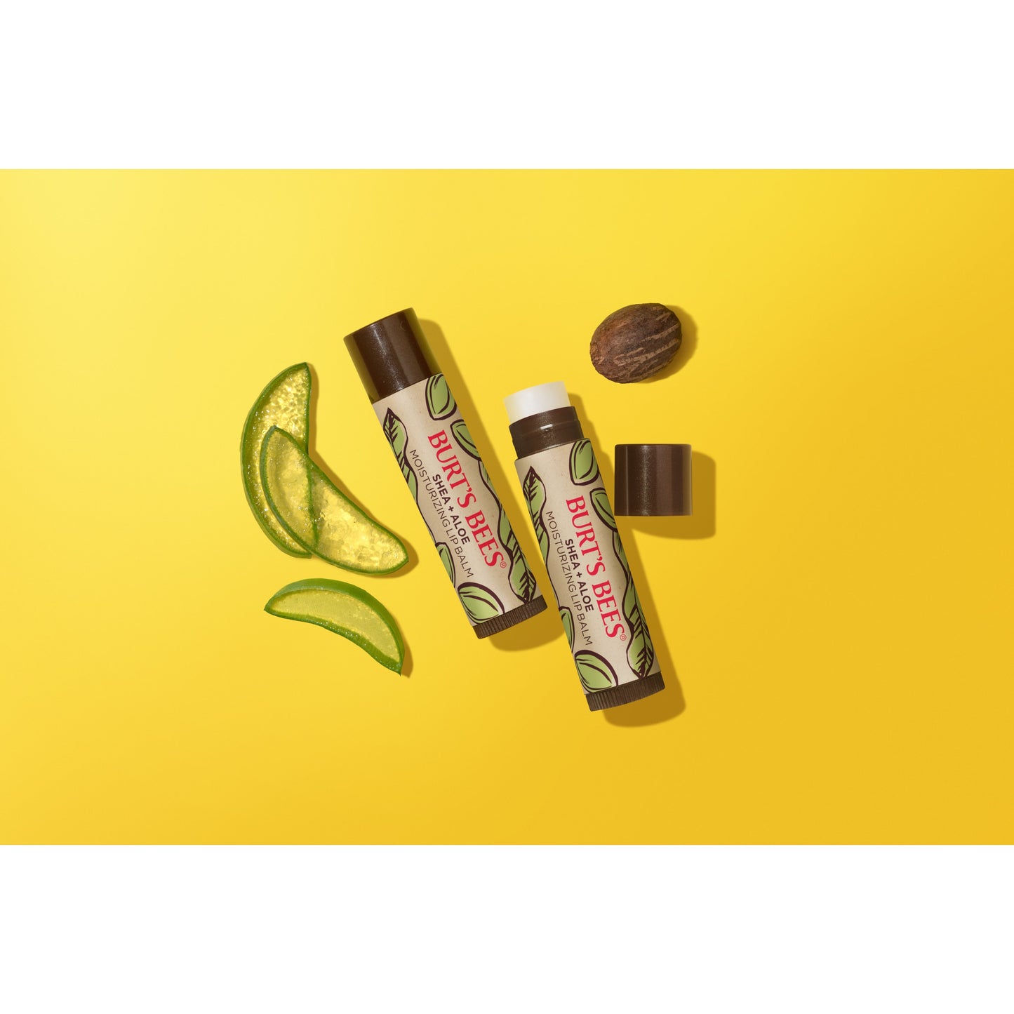 Burt's Bees Moisturizing Lip Balm Pack - Shea & Aloe