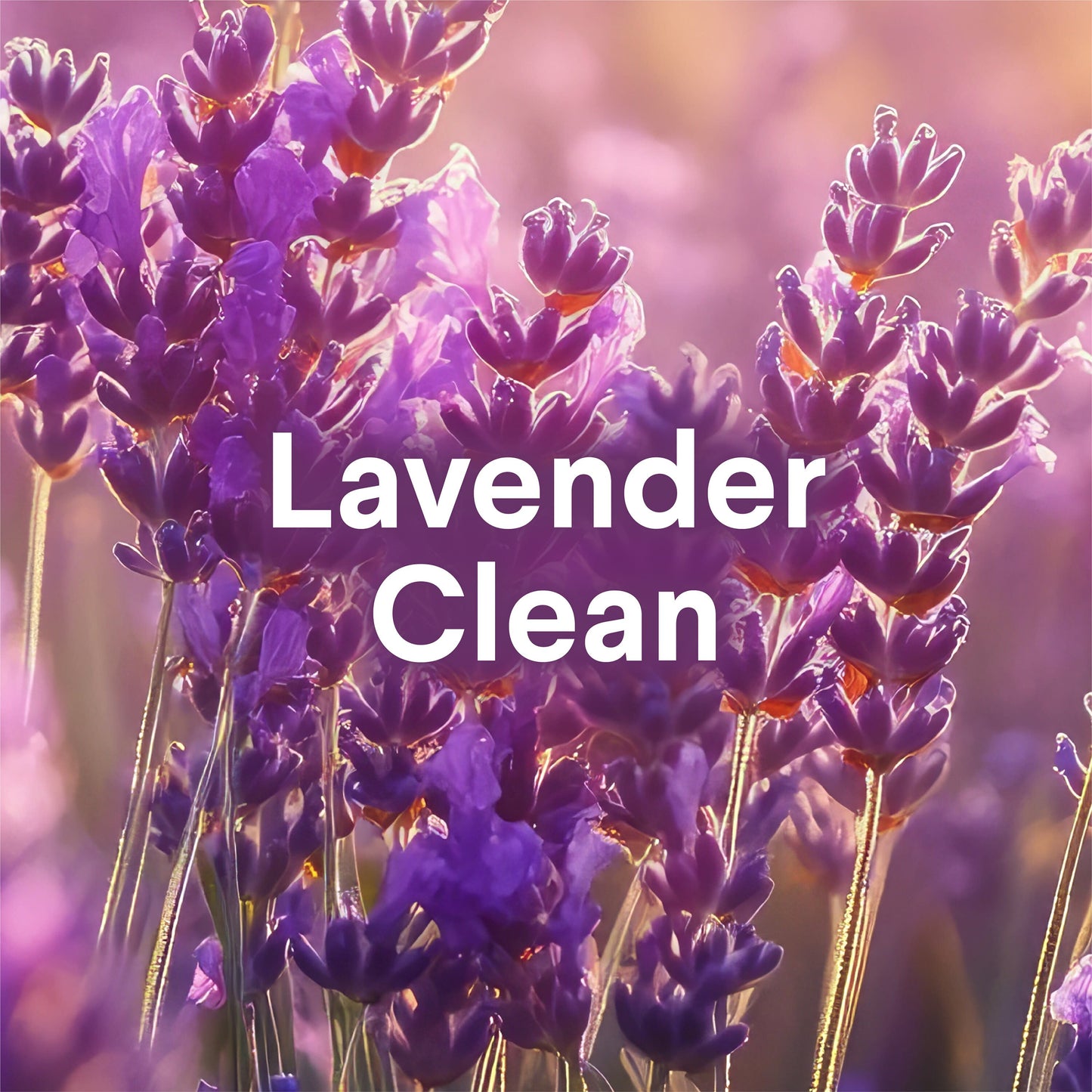 Clorox Foaming Toilet Bomb Bowl Cleaner - Lavender Clean
