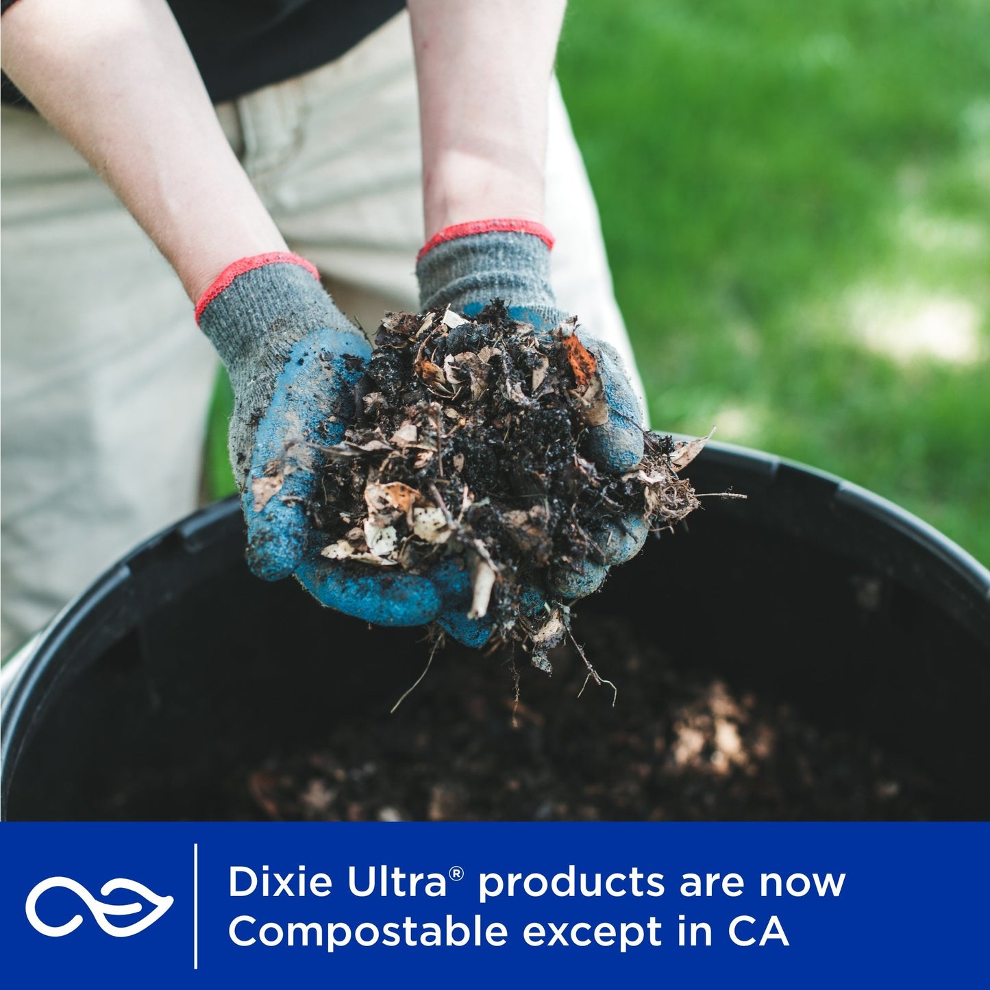 Dixie Ultra Compostable 34 oz Paper Bowls