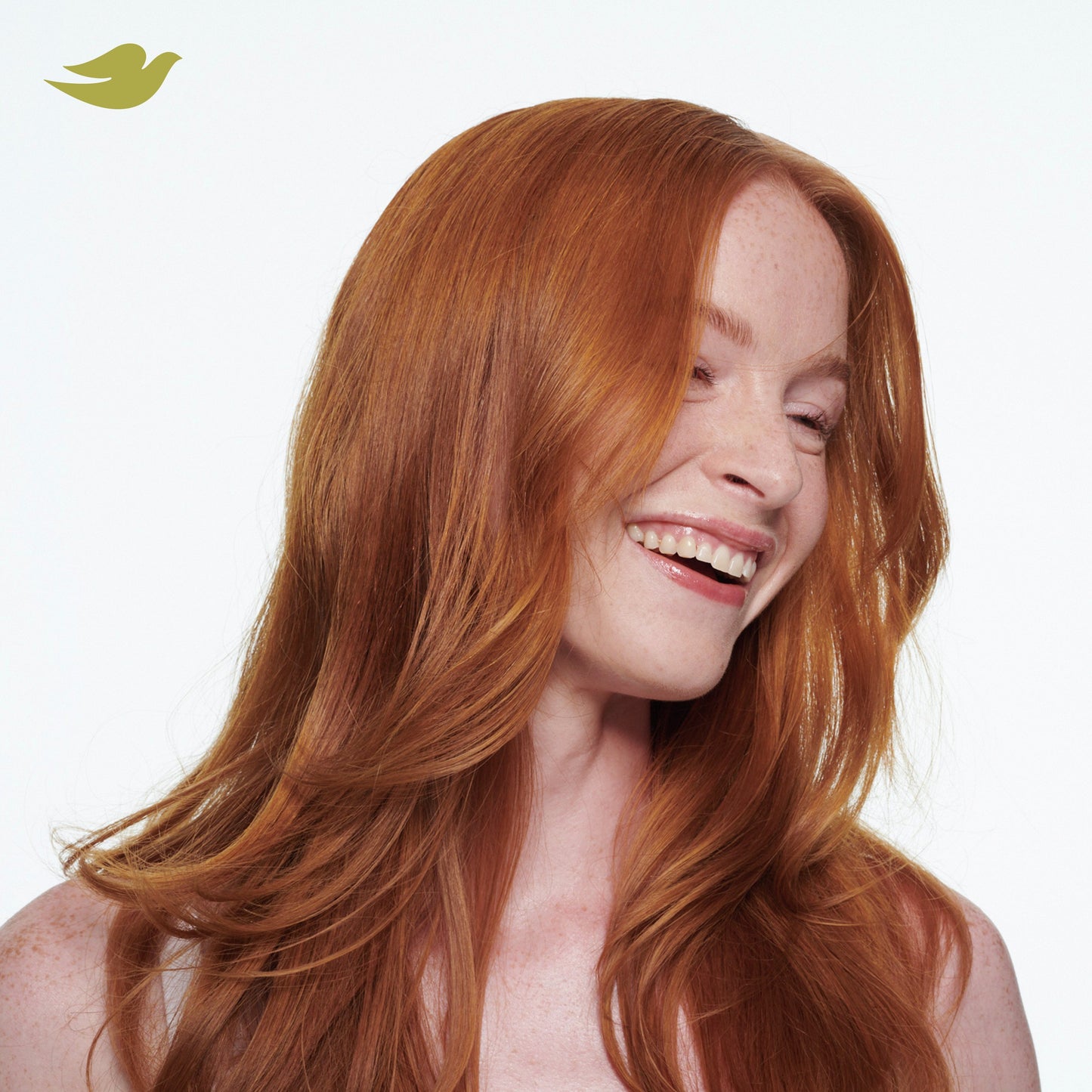 Dove Daily Moisture Damage Therapy Shampoo