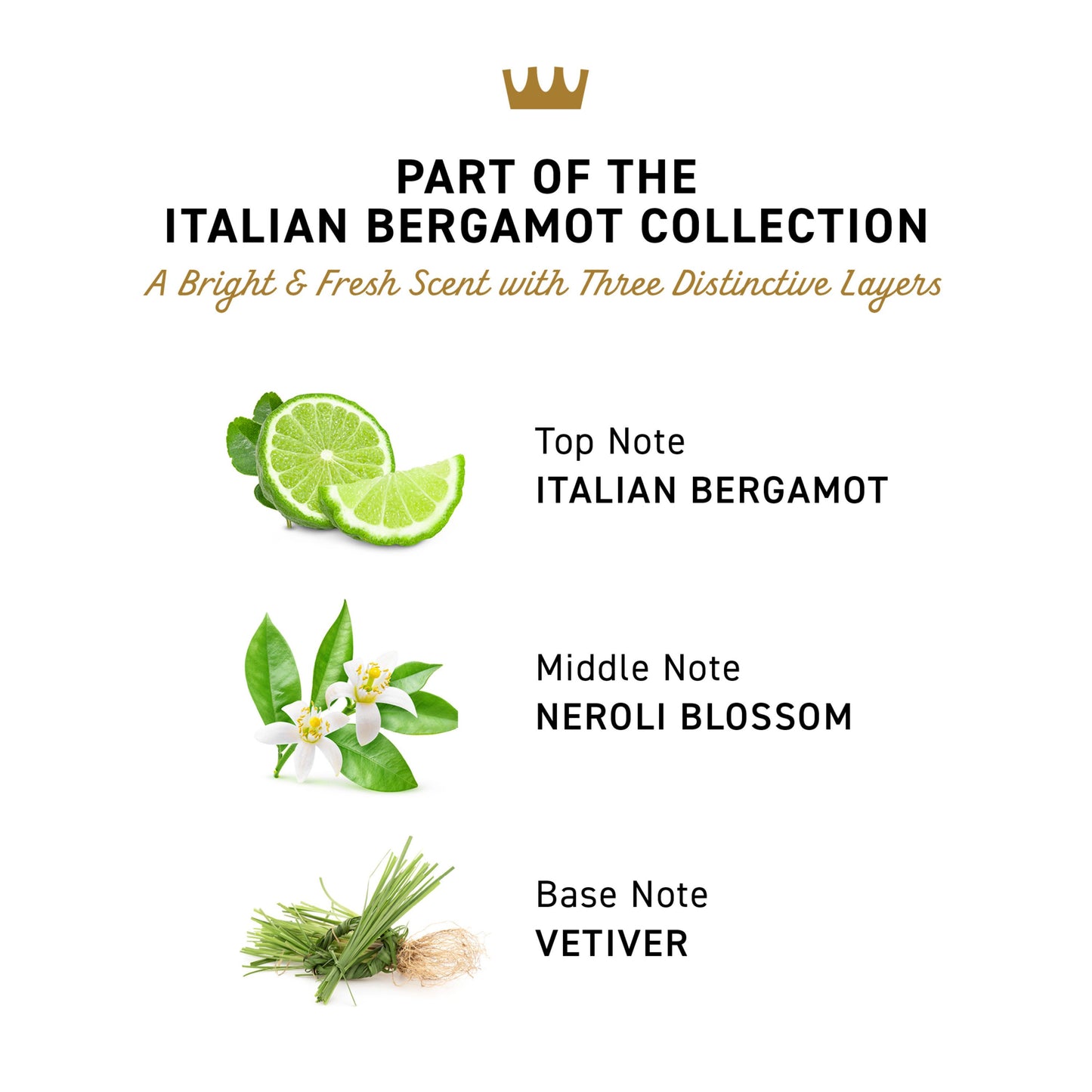 Cremo Exfoliating Body Bar - Italian Bergamot