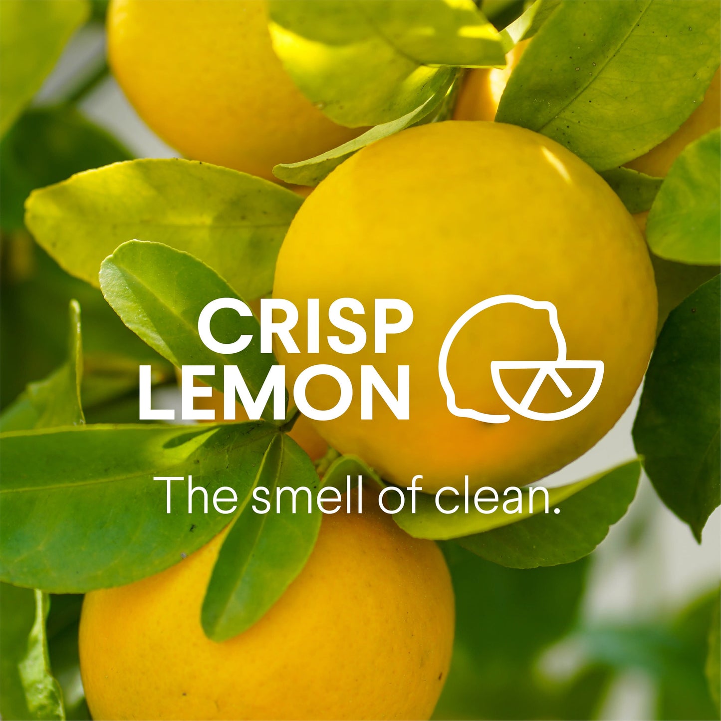 Clorox Disinfecting All Purpose Cleaner Bleach Free - Crisp Lemon