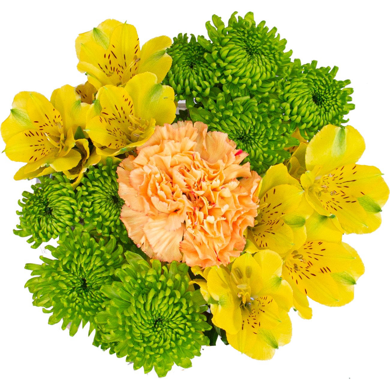 BLOOMS by H-E-B Grower Bunch