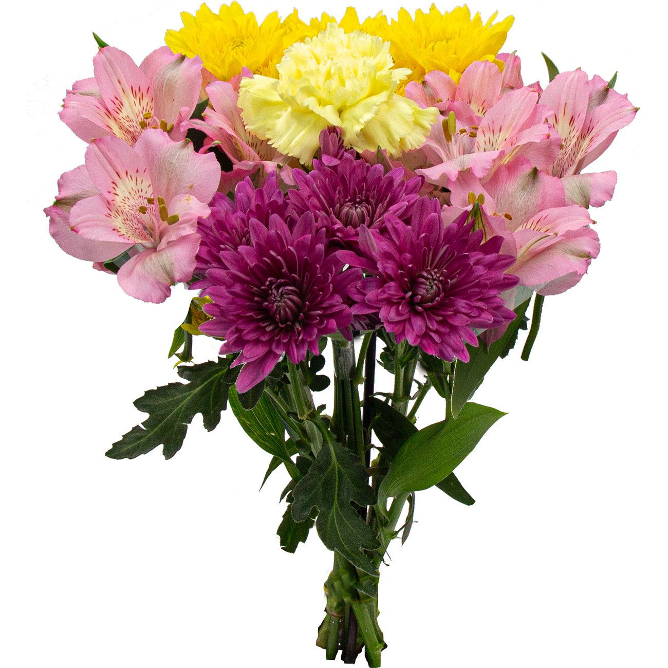 BLOOMS by H-E-B Grower Bunch