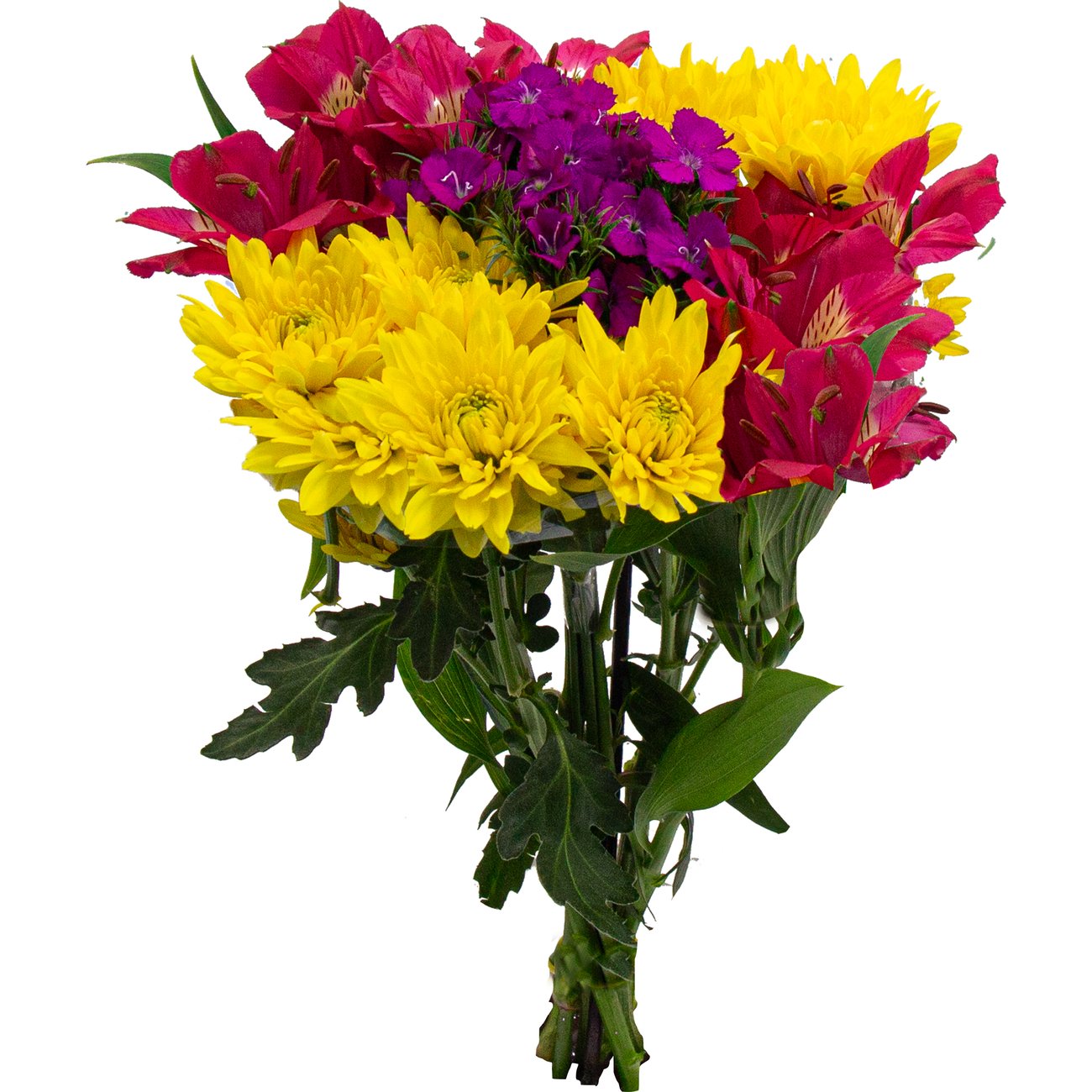 BLOOMS by H-E-B Grower Bunch