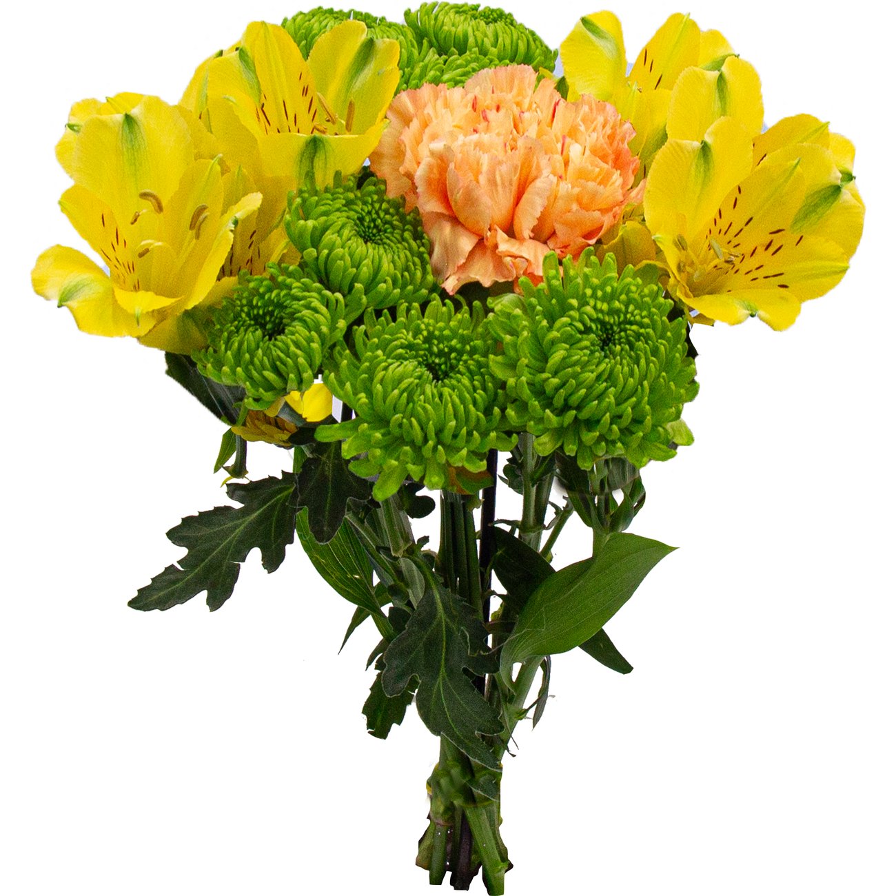 BLOOMS by H-E-B Grower Bunch
