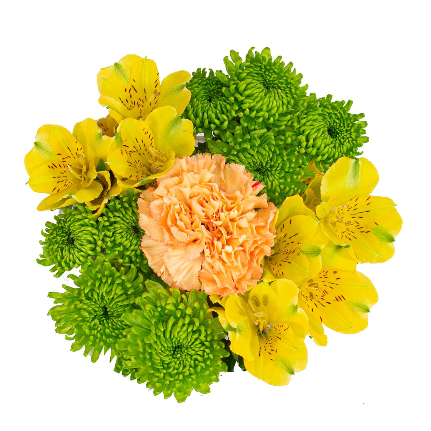 BLOOMS by H-E-B Grower Bunch