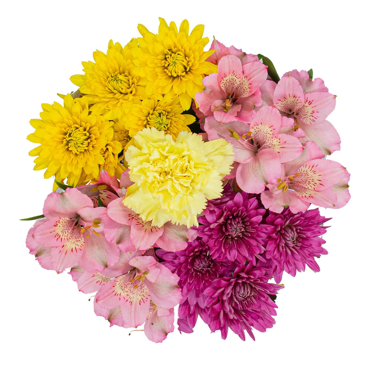 BLOOMS by H-E-B Grower Bunch