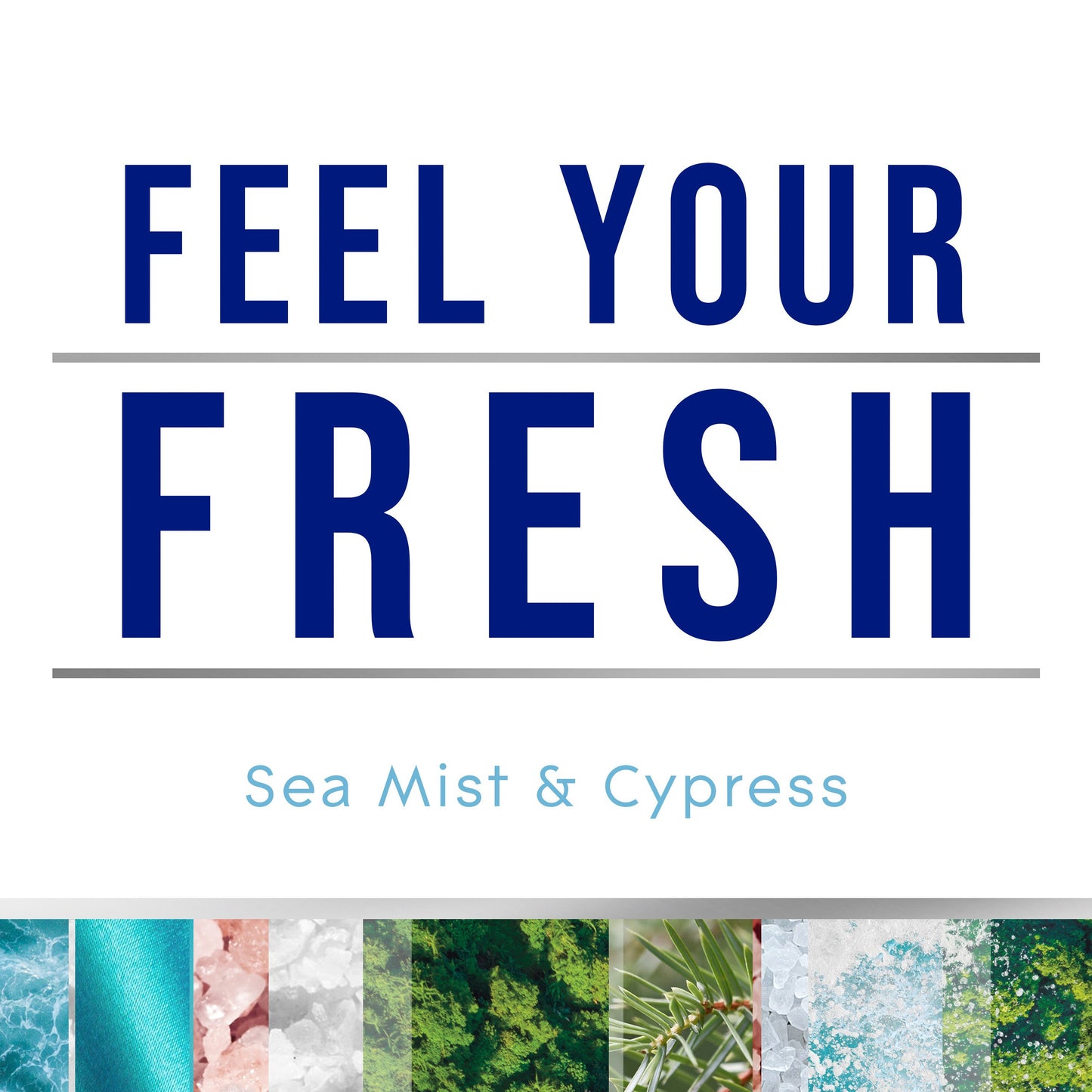 Glade Plug In Scented Oils - Fresh Sea Mist & Cypress - 1.34 oz