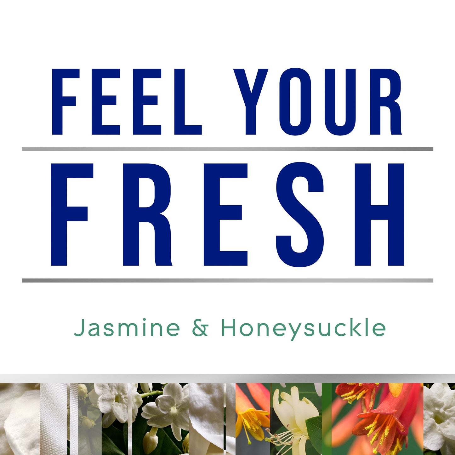 Glade Automatic Spray Refill - Fresh Jasmine & Honeysuckle