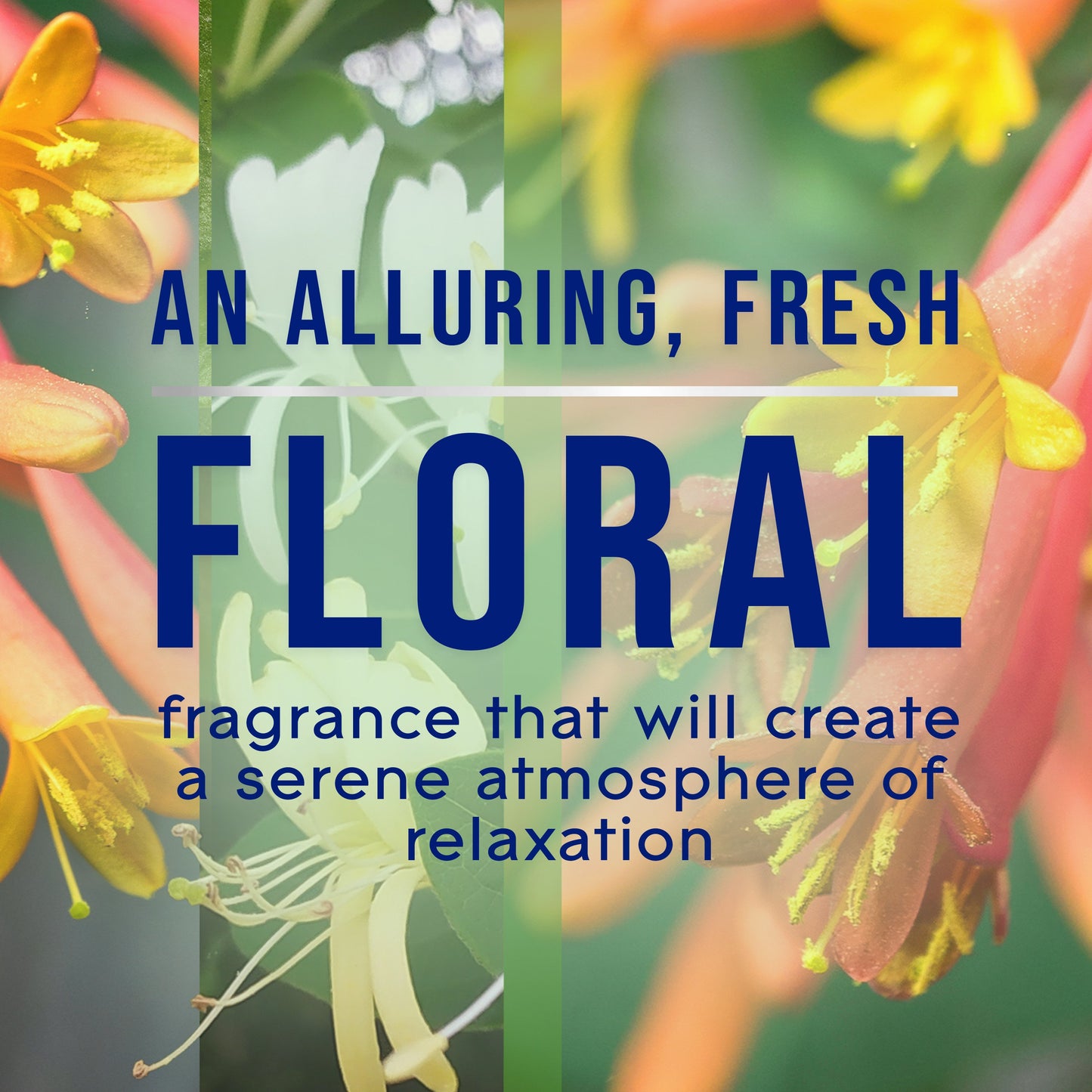 Glade Plug In Scented Oil - Fresh Jasmine & Honeysuckle - 1.34 oz