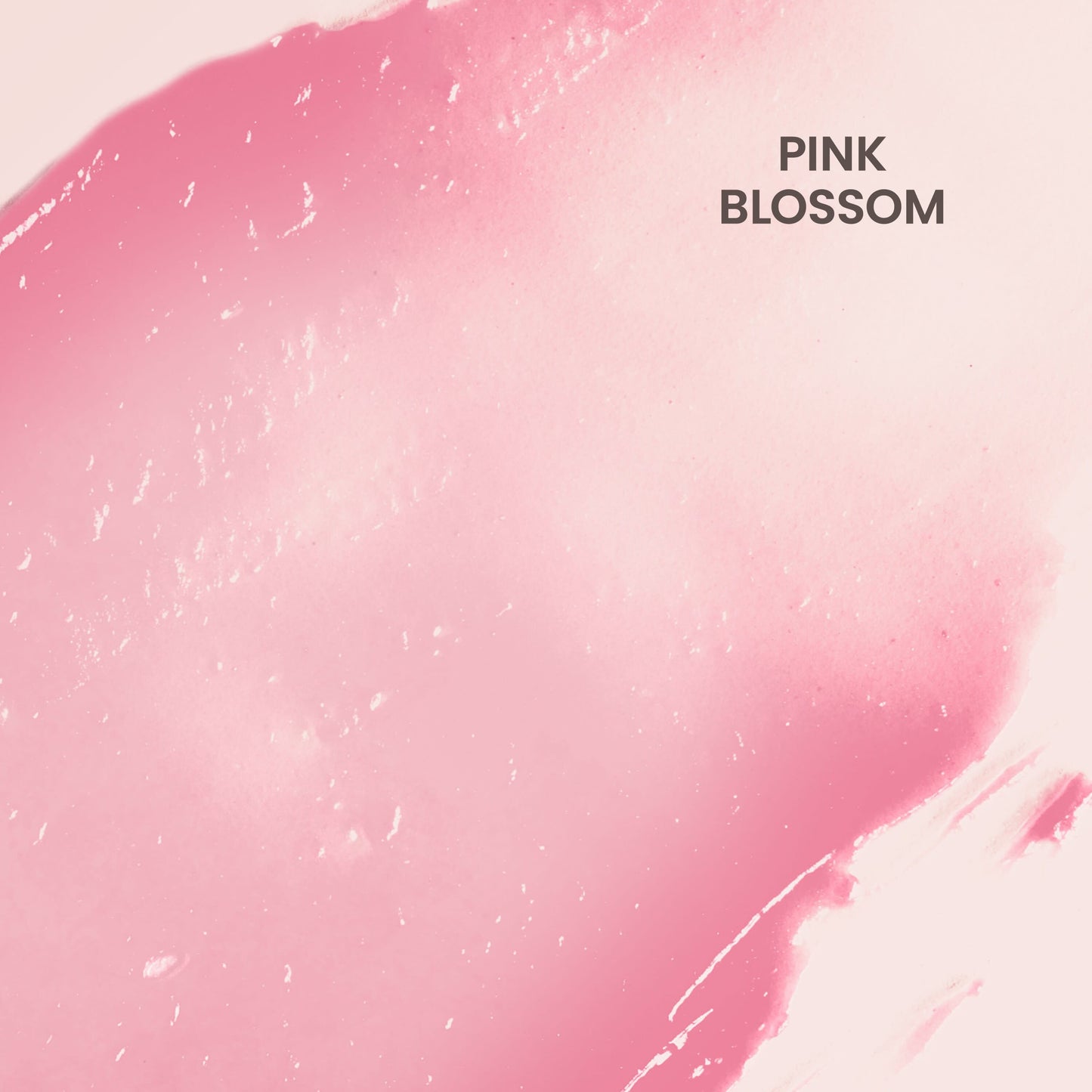 Burt's Bees Tinted Lip Balm - Pink Blossom