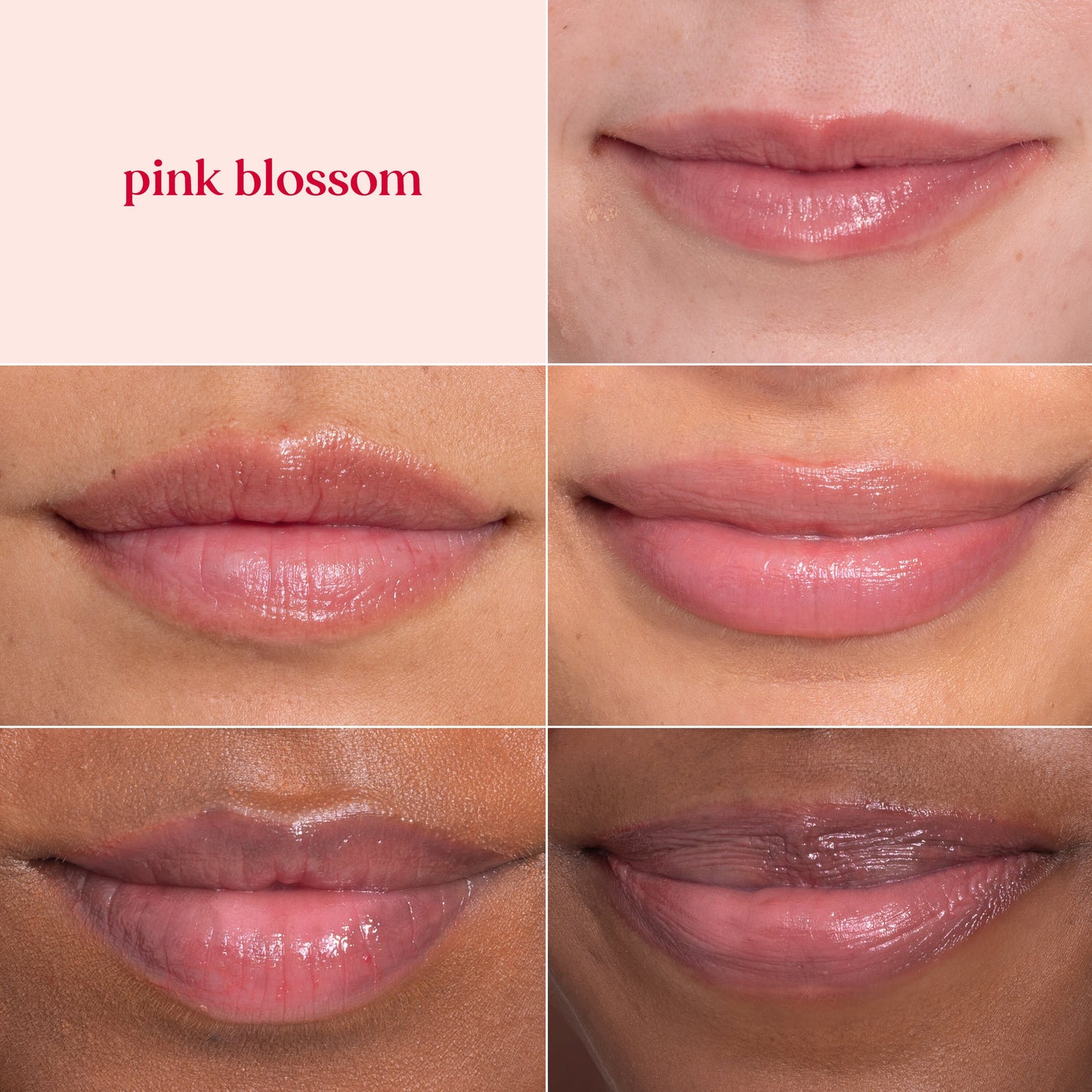 Burt's Bees Tinted Lip Balm - Pink Blossom