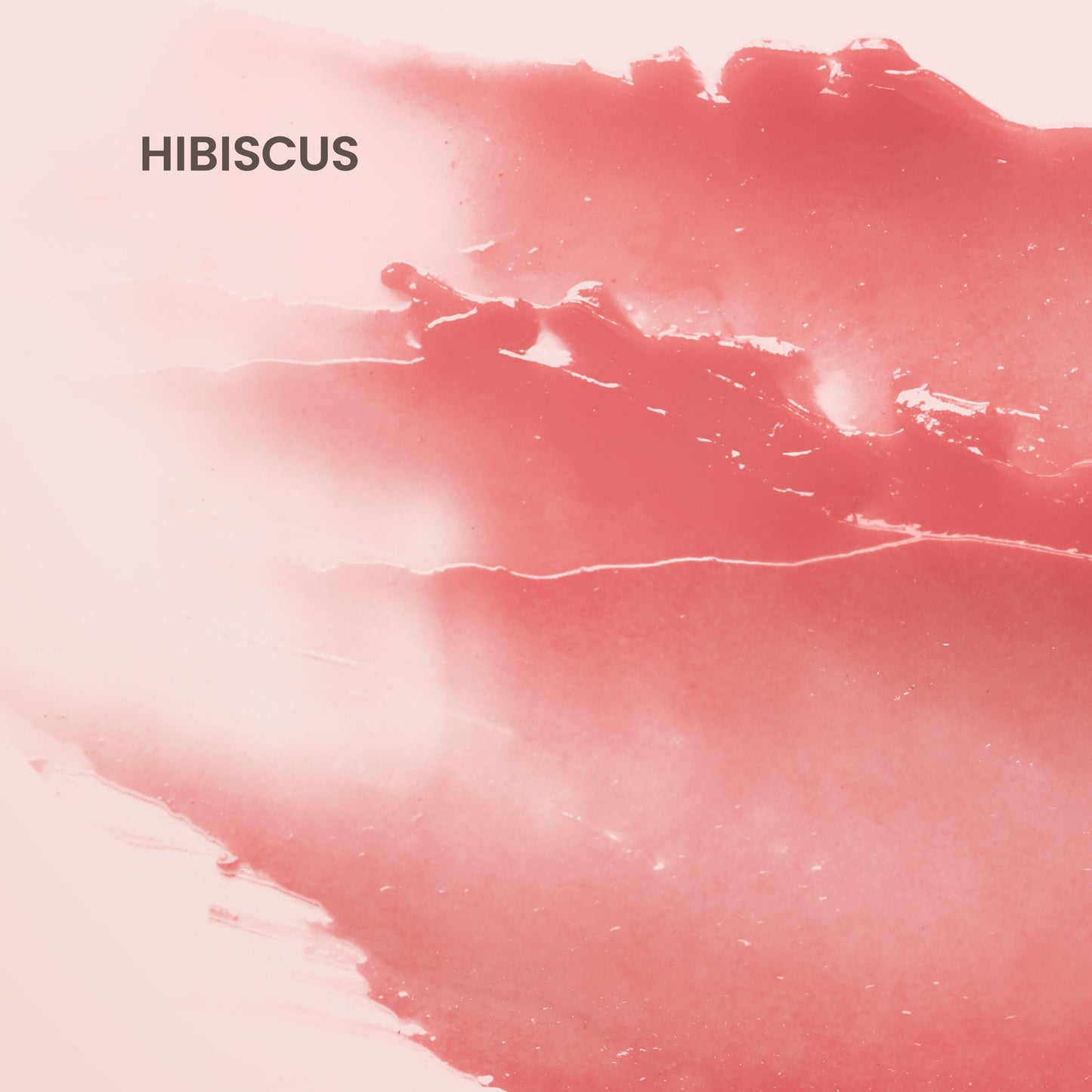 Burt's Bees Tinted Lip Balm - Hibiscus