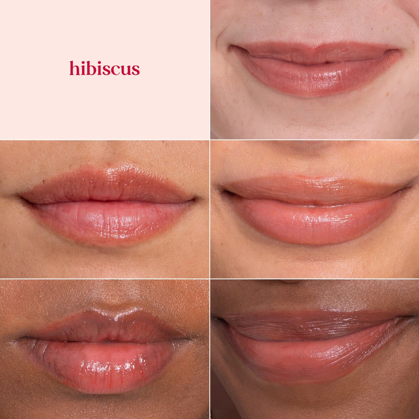 Burt's Bees Tinted Lip Balm - Hibiscus