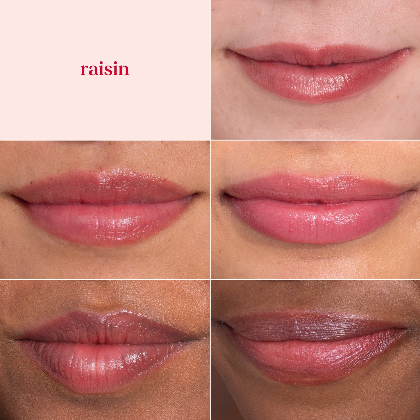 Burt's Bees Lip Shimmer - Raisin