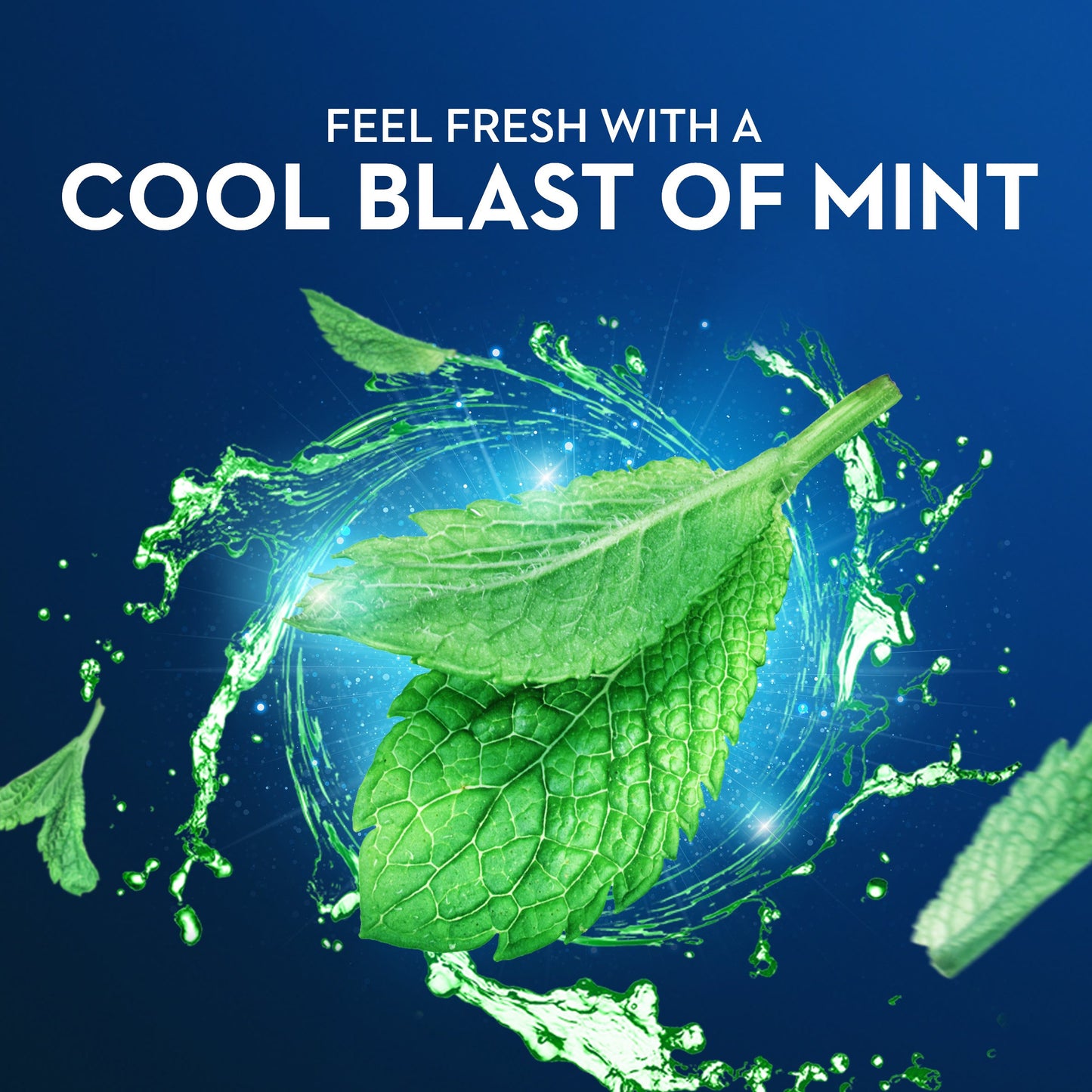 Oral-B Travel Size Pack Floss Picks - Scope Fresh Mint