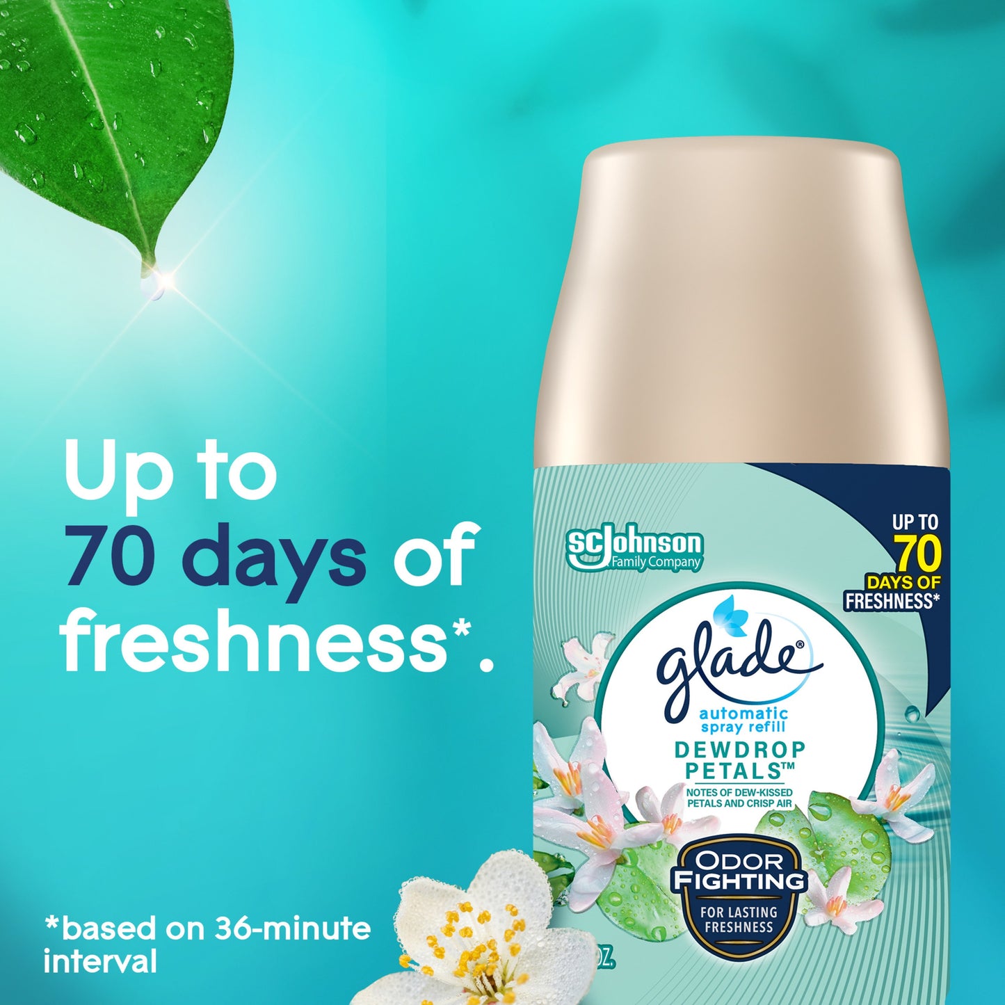 Glade Automatic Spray Refill Value Pack -  Dewdrop Petal, 6.2 oz
