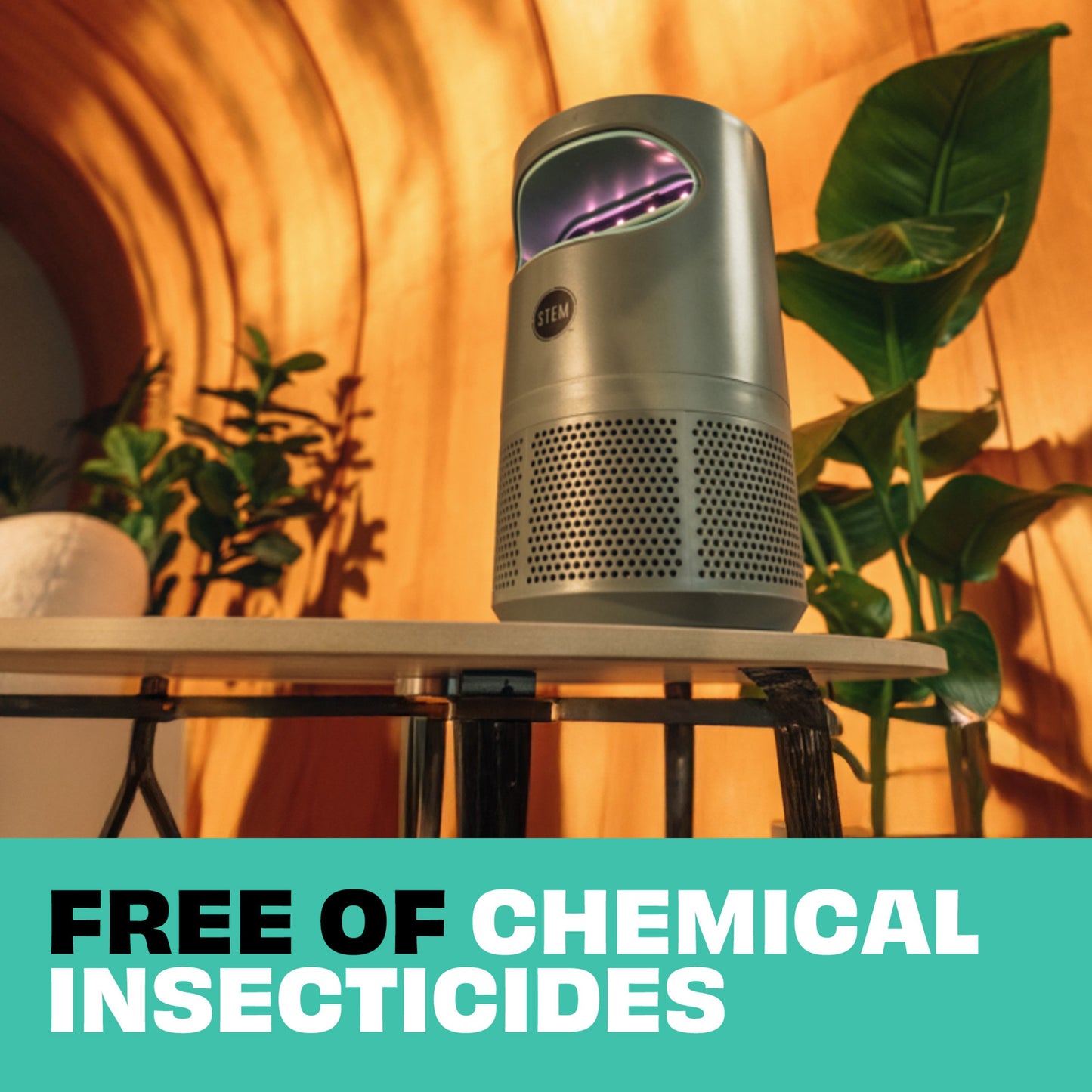 STEM Flying Insects Fan Trap
