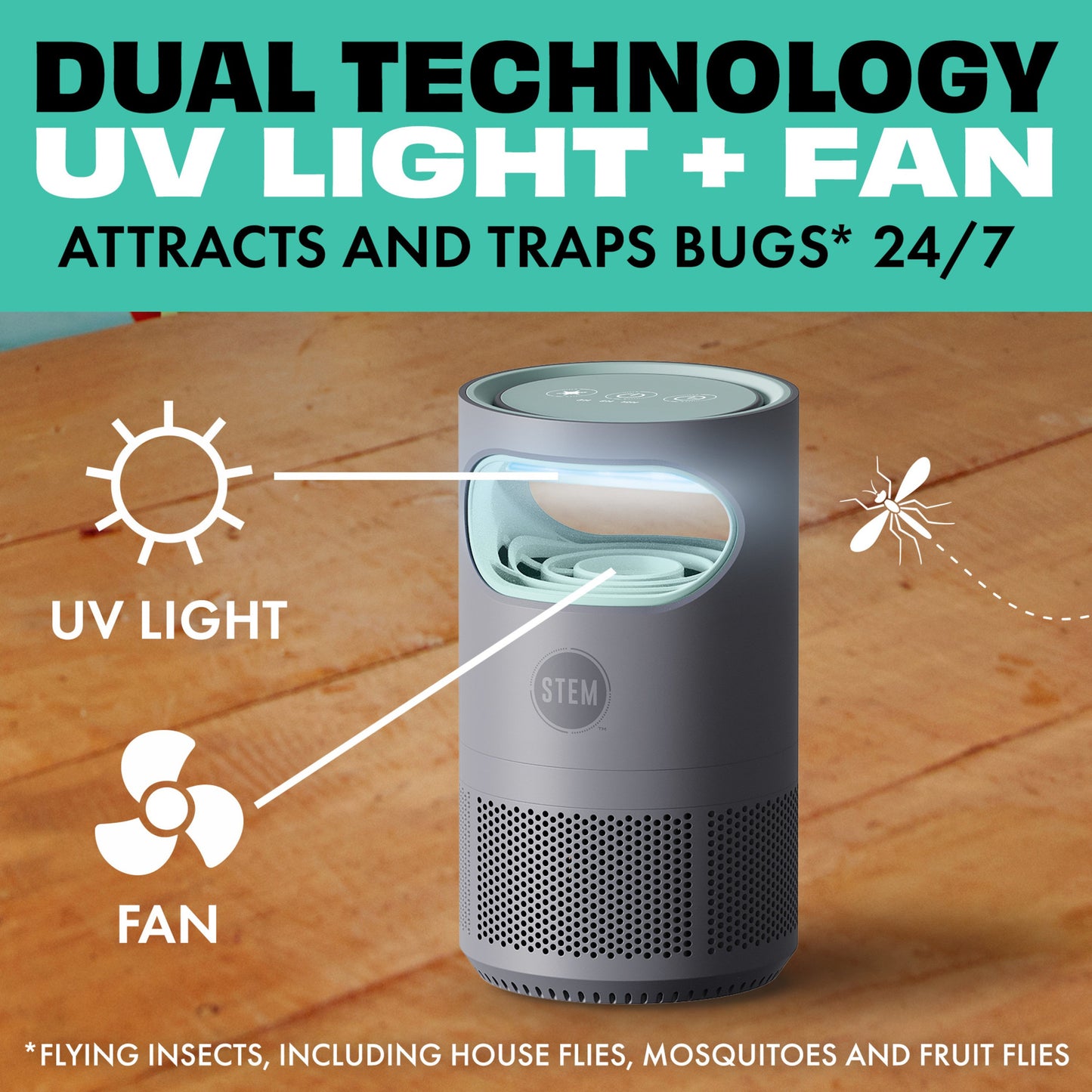 STEM Flying Insects Fan Trap
